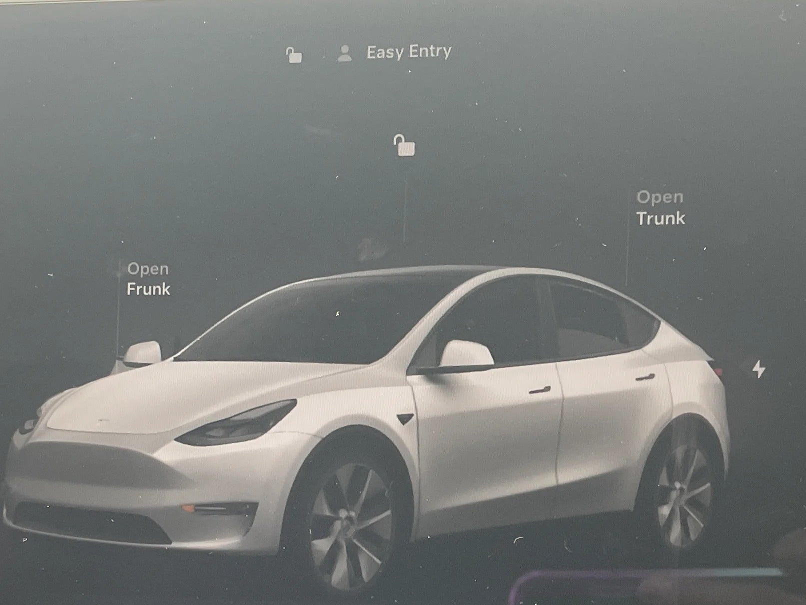 2024 Tesla Model Y Long Range 4