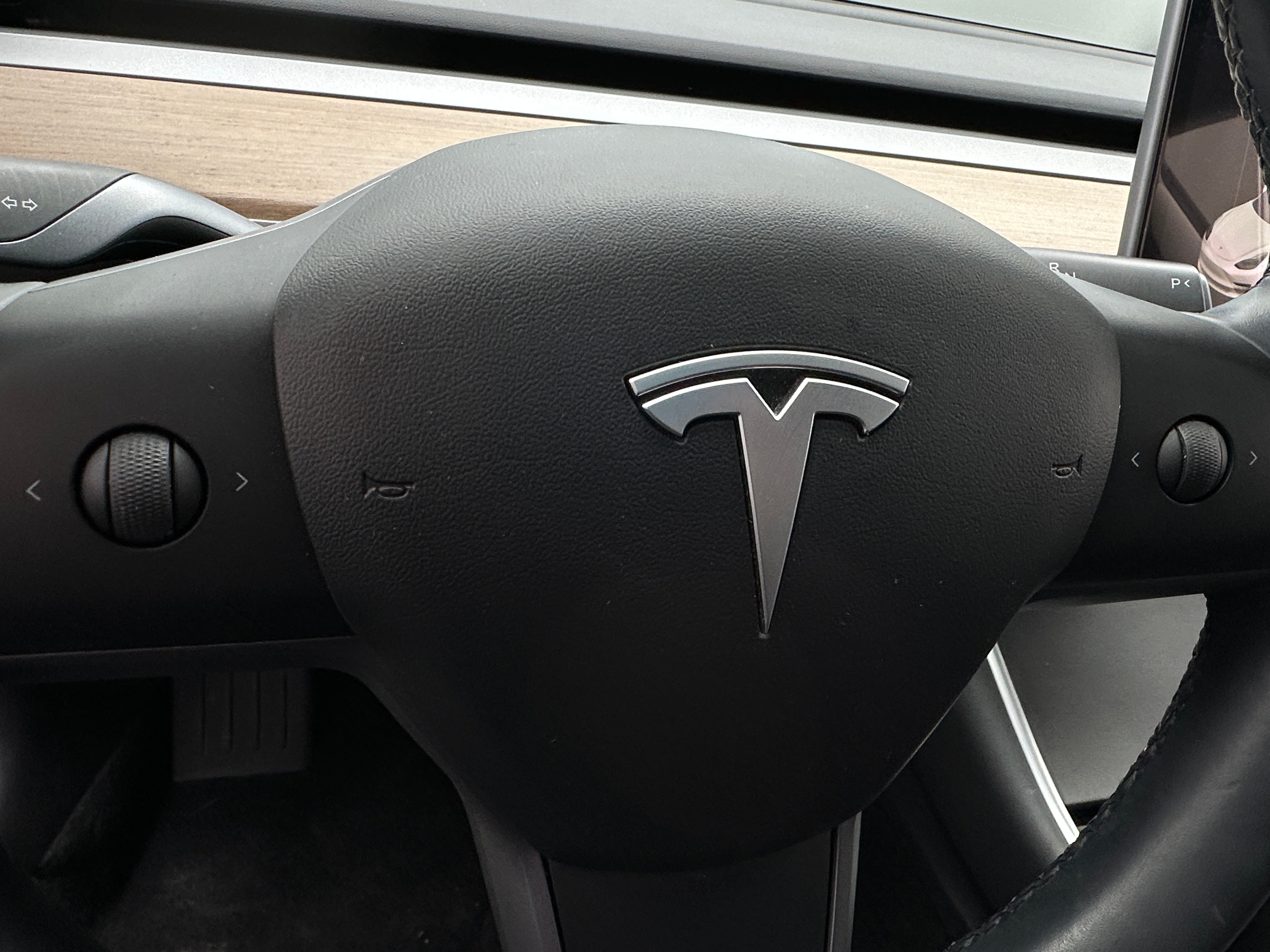 2019 Tesla Model 3 Standard Range 4