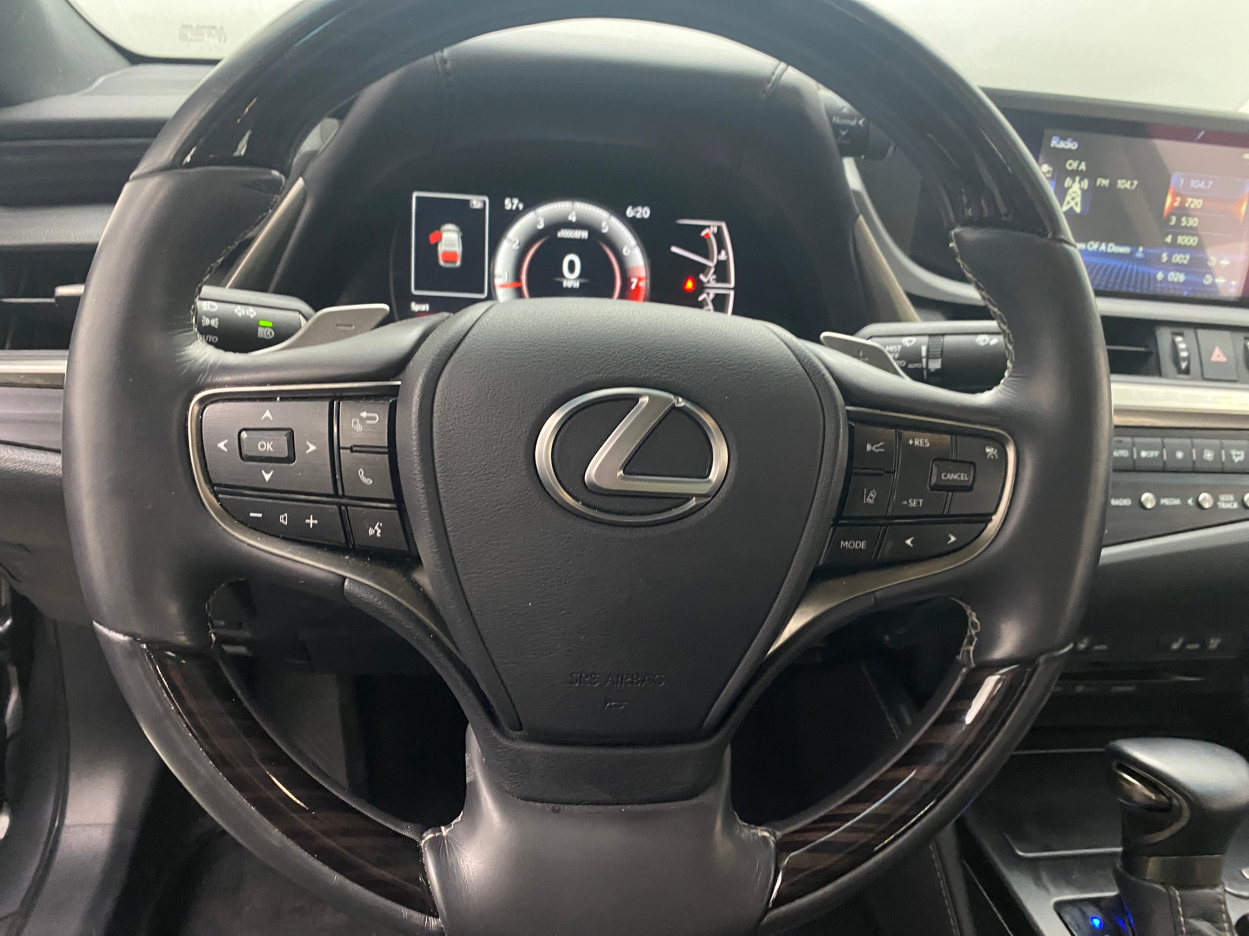 2021 Lexus ES 250 5