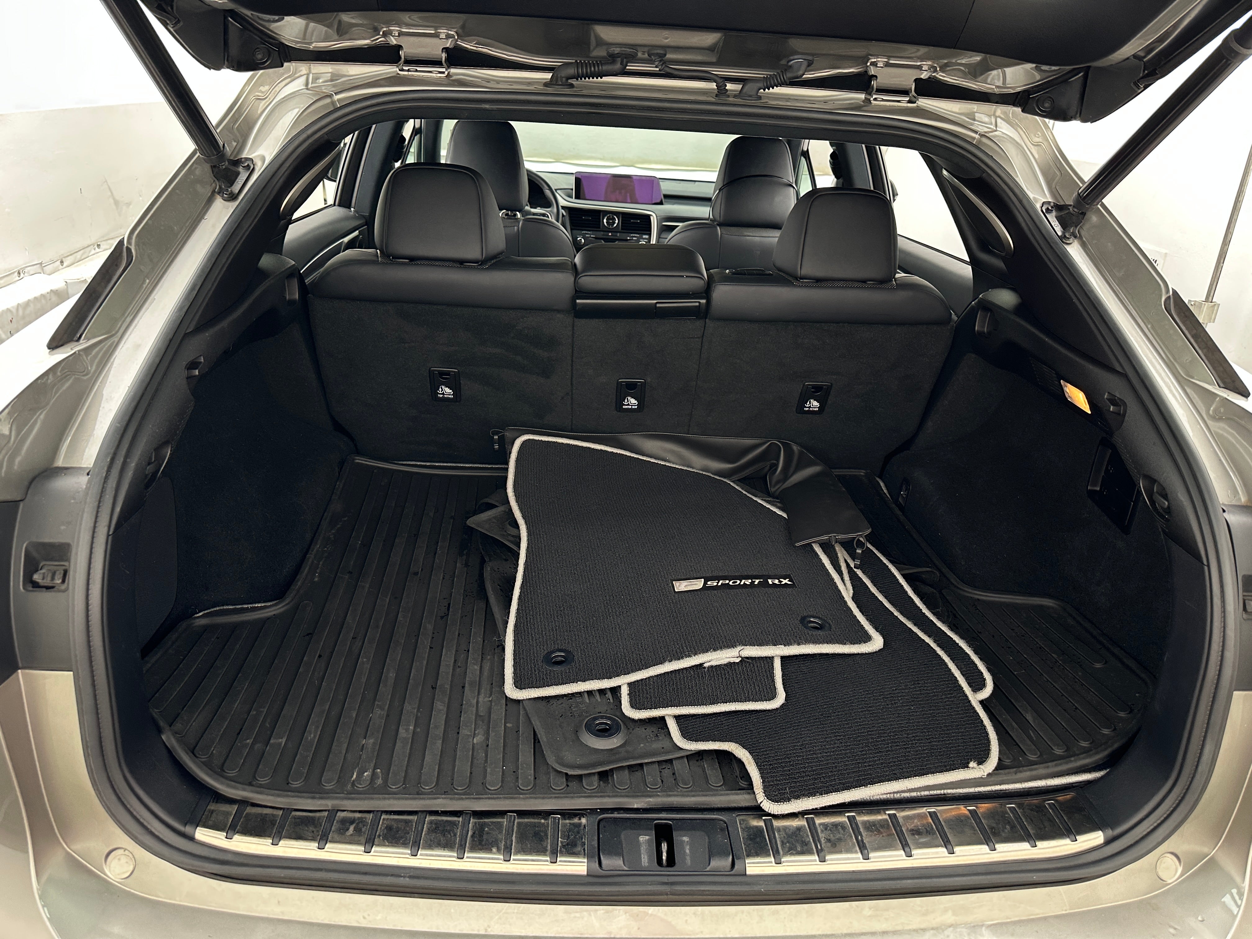 2017 Lexus RX 350 Sport Handling 6