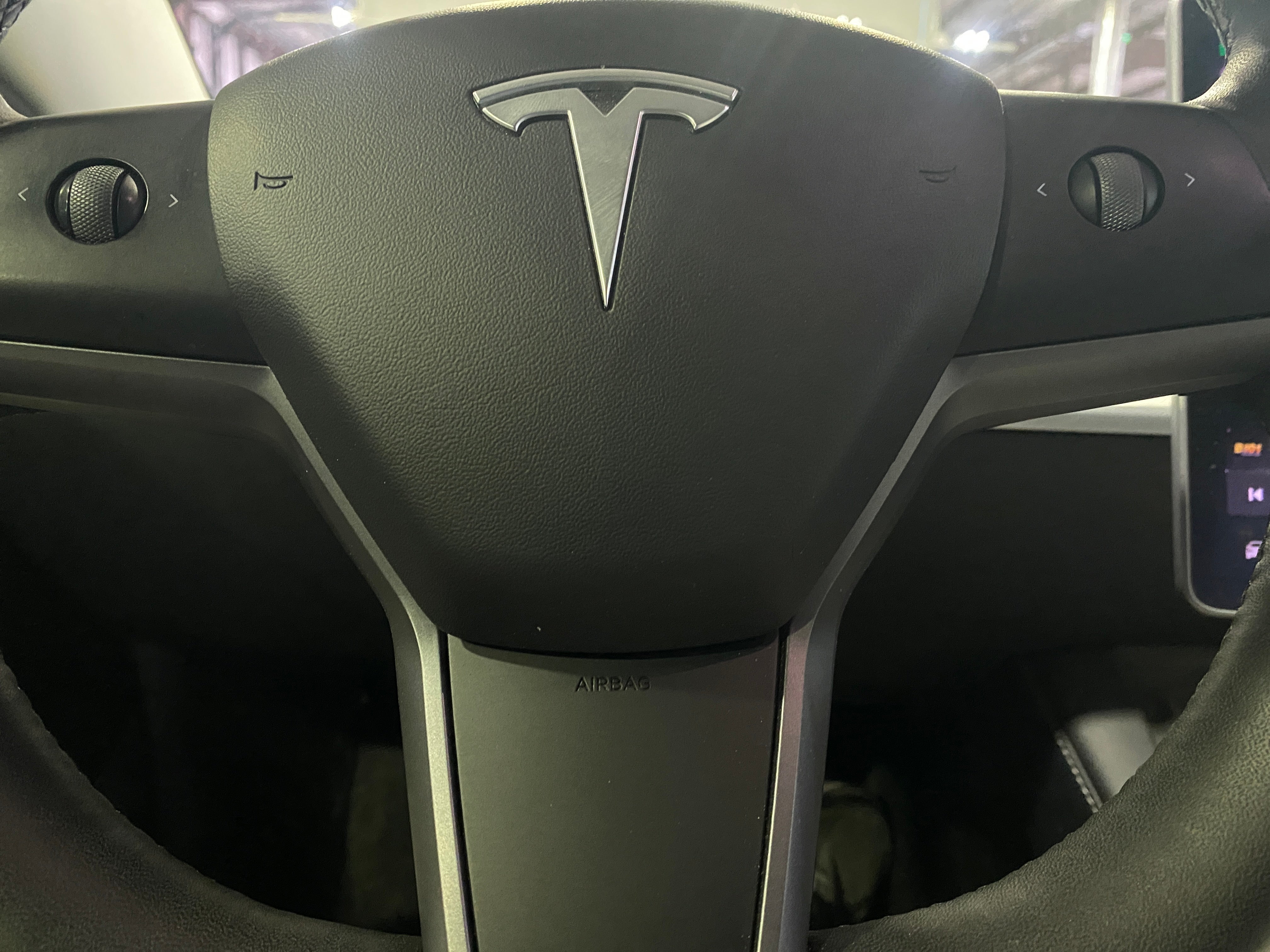 2021 Tesla Model 3 Standard Range 4