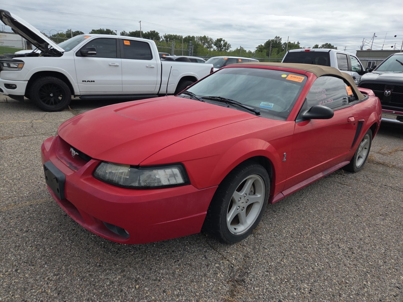 1999 Ford Mustang SVT Cobra