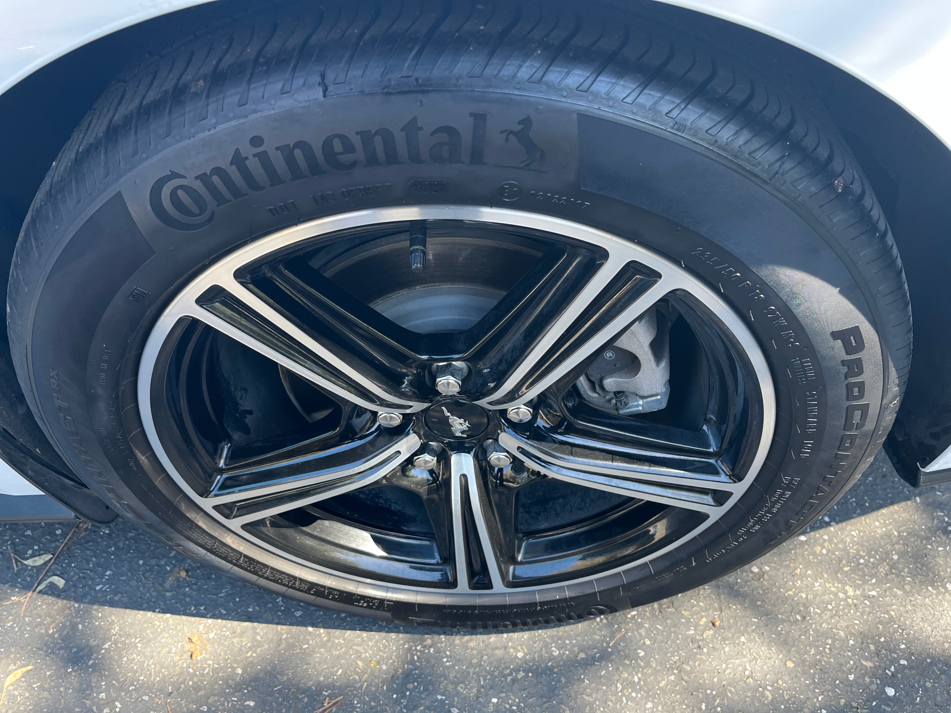 Image 8 of 2024 Ford Mustang EcoBoost Premium