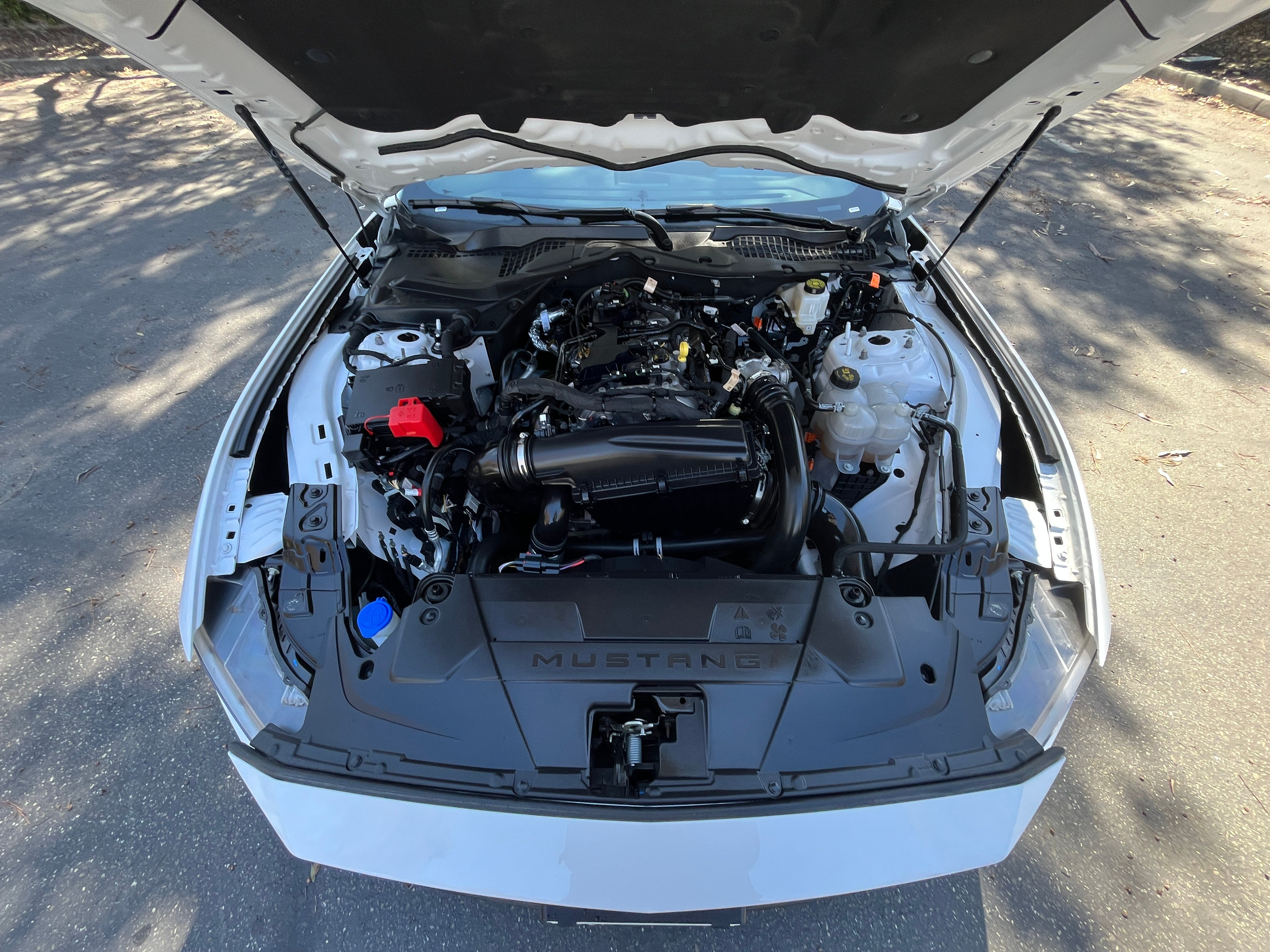 Image 3 of 2024 Ford Mustang EcoBoost Premium