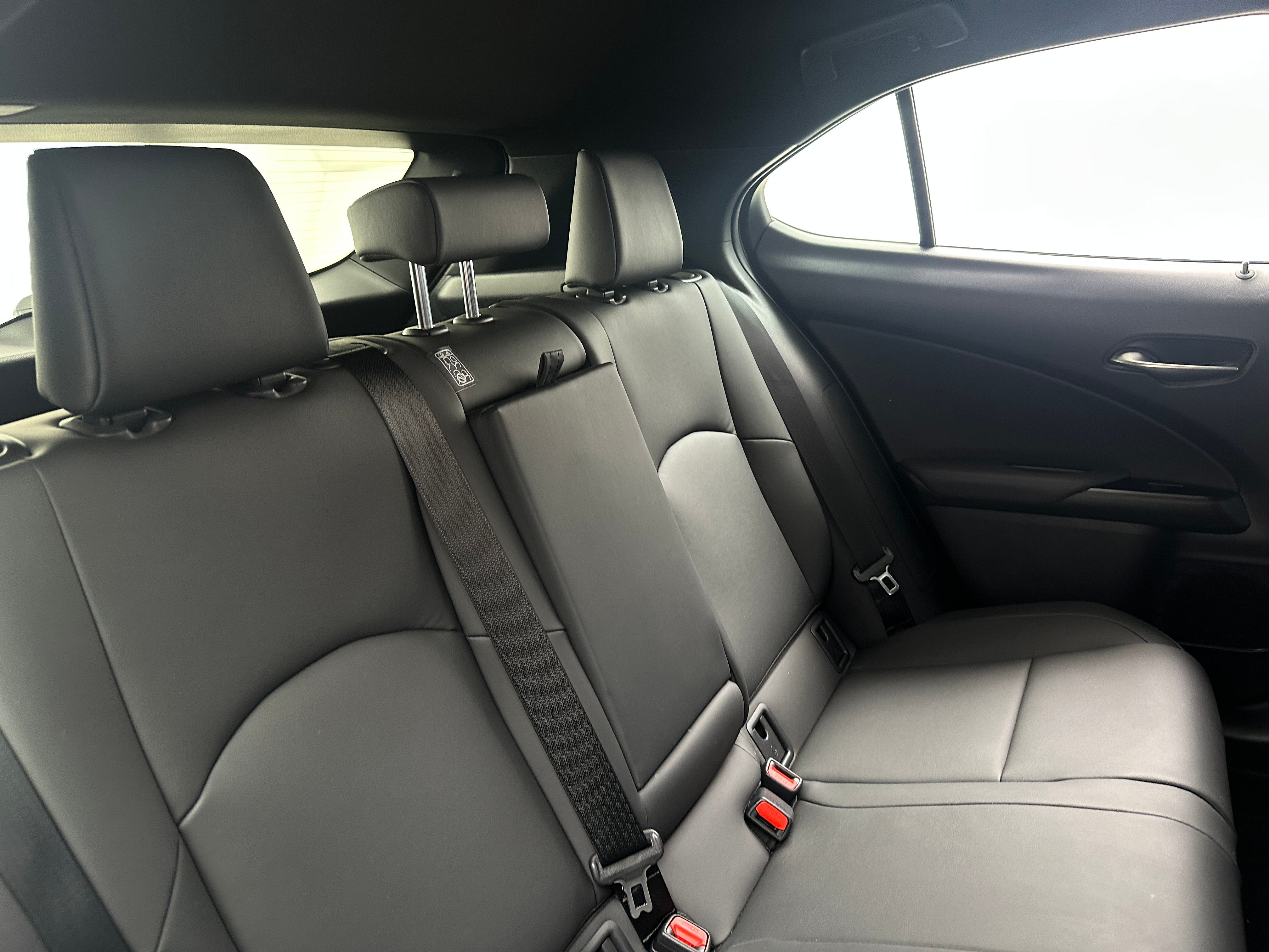 2024 Lexus UX 250h 6