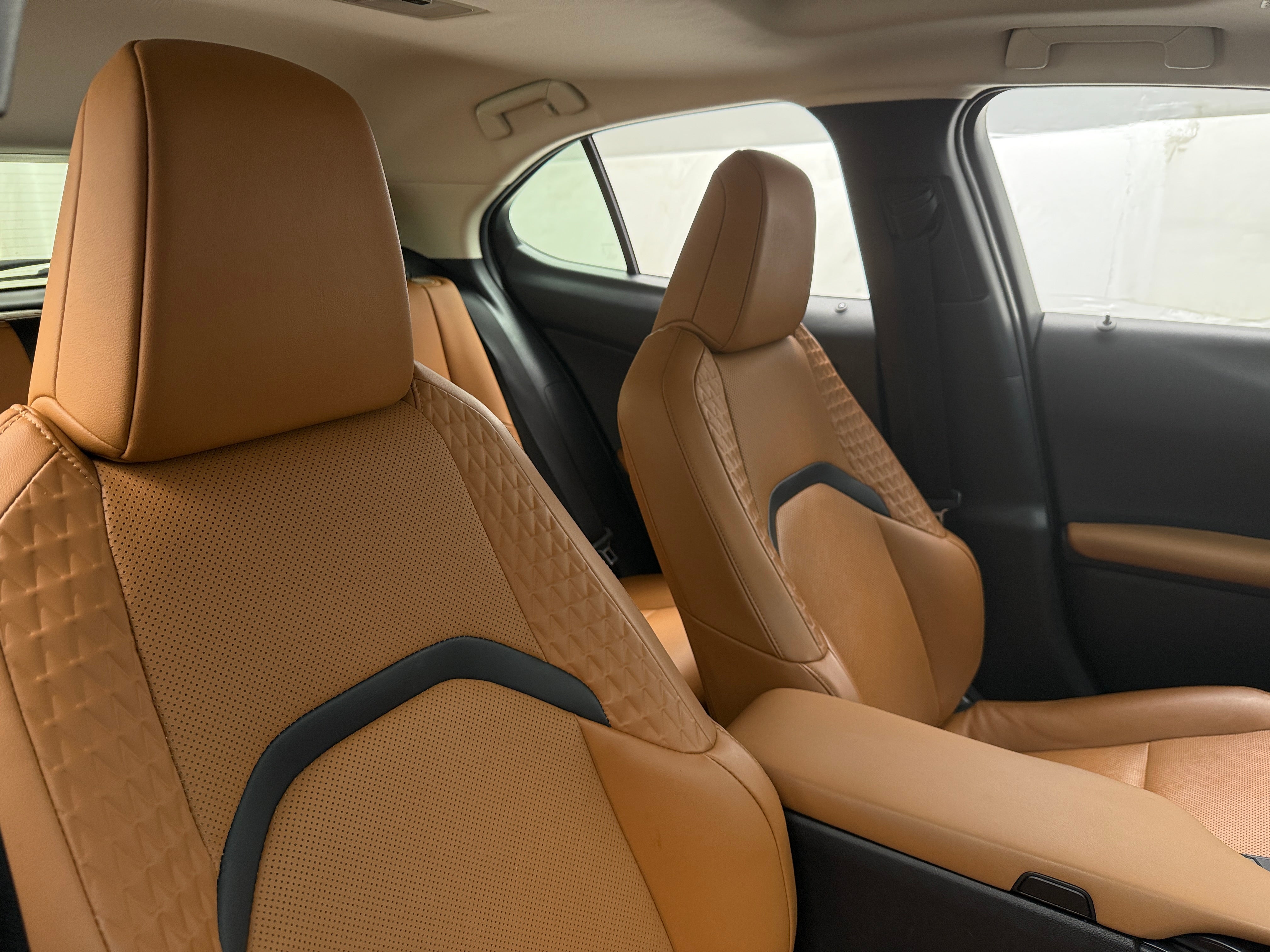 2019 Lexus UX 250h 2