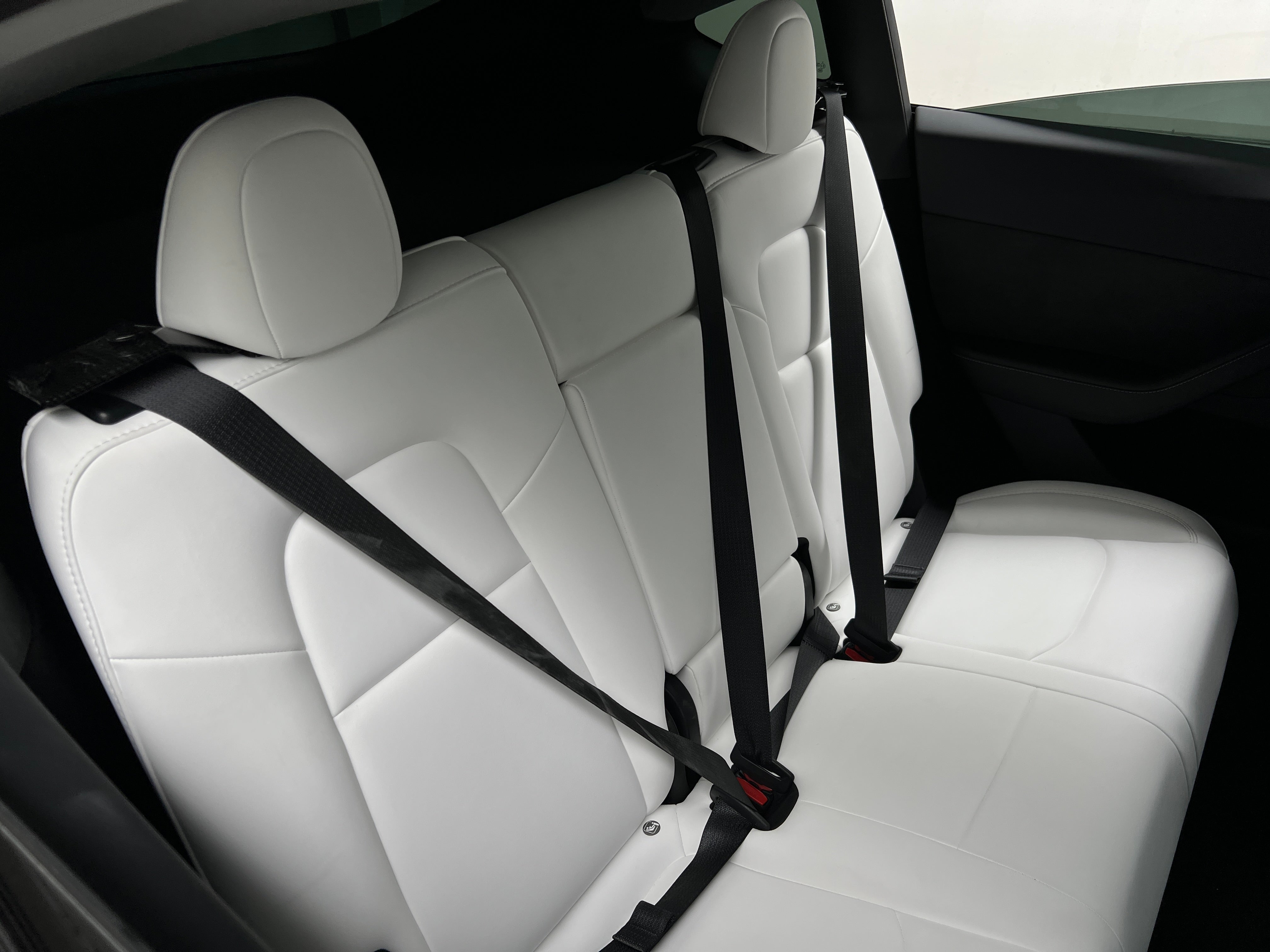 2023 Tesla Model Y Long Range 5