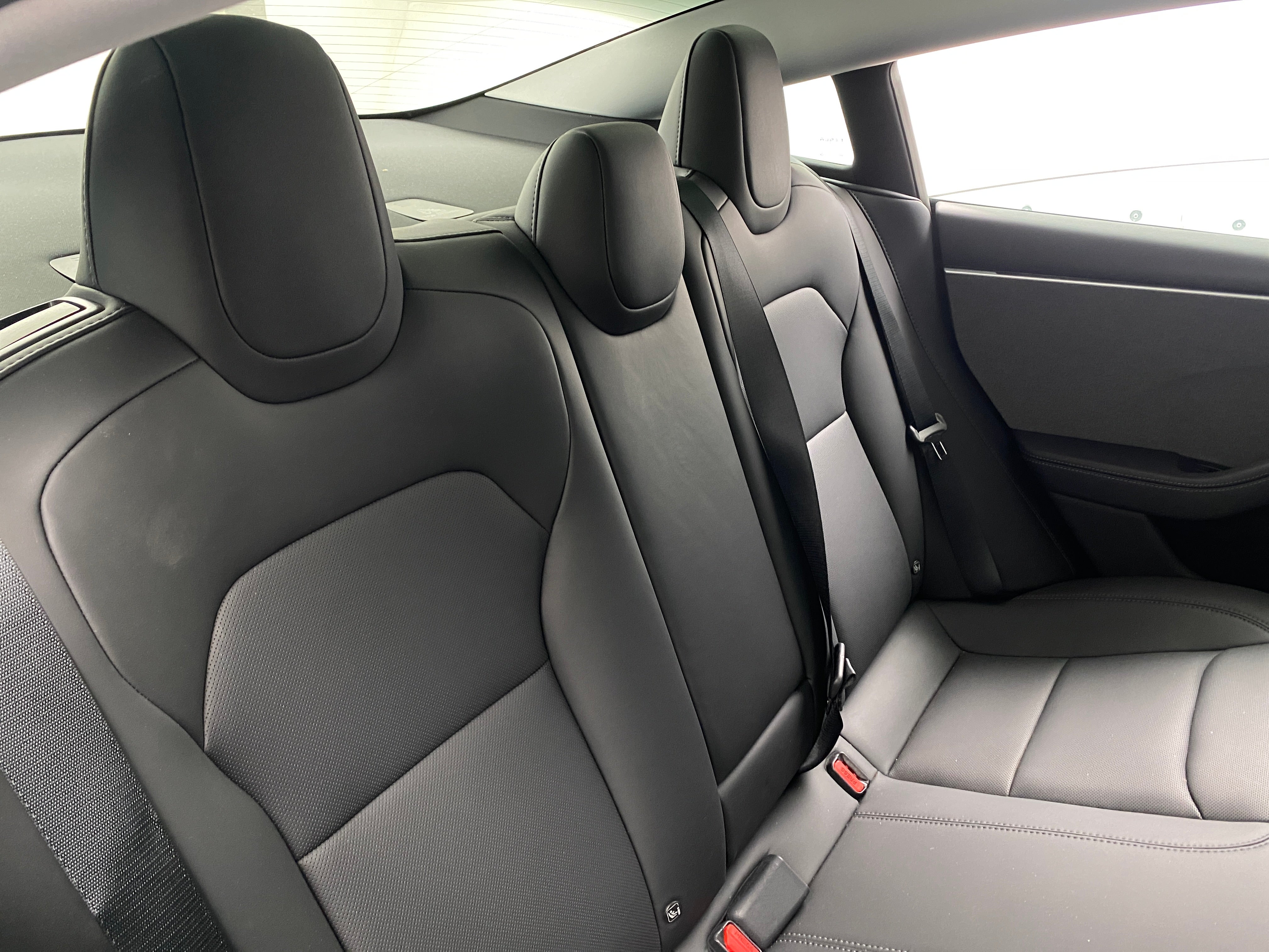 2024 Tesla Model 3 Standard Range 5