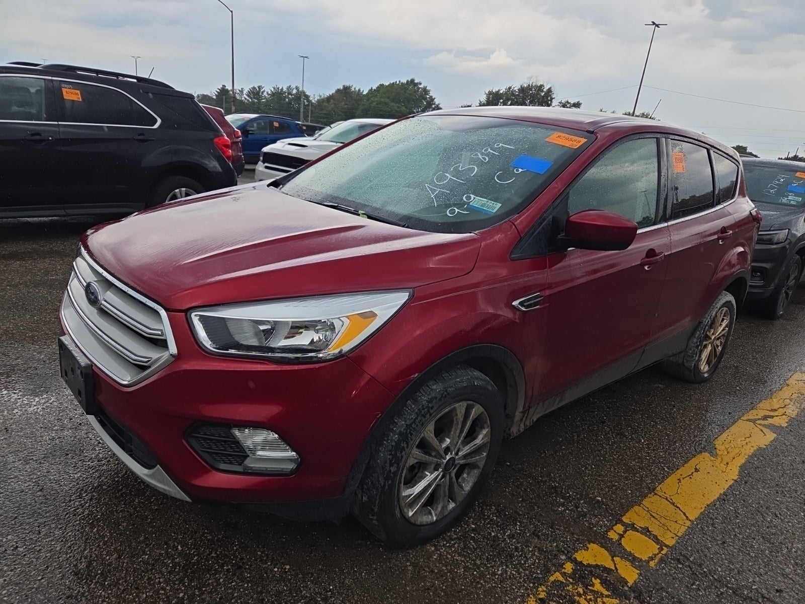 2019 Ford Escape SE