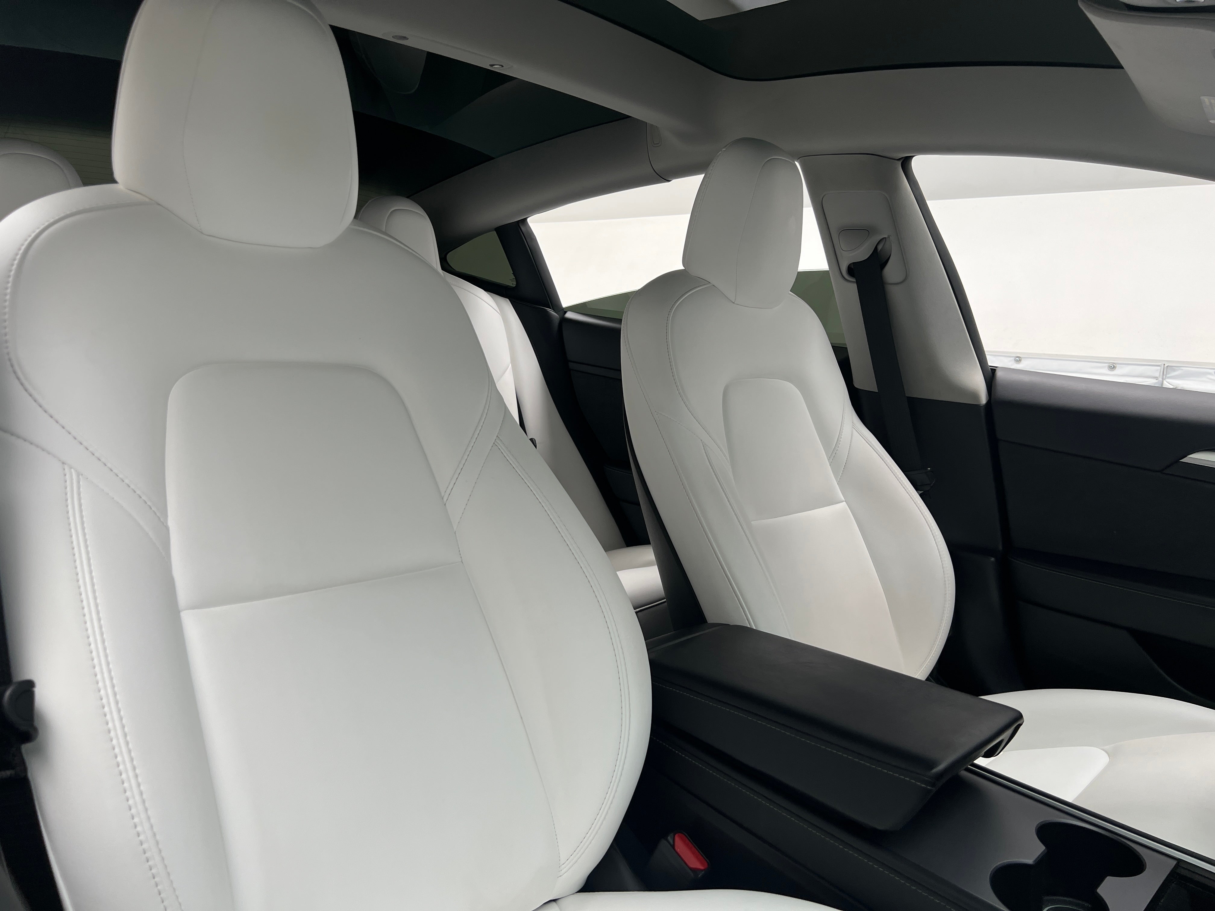 2021 Tesla Model 3 Performance 2