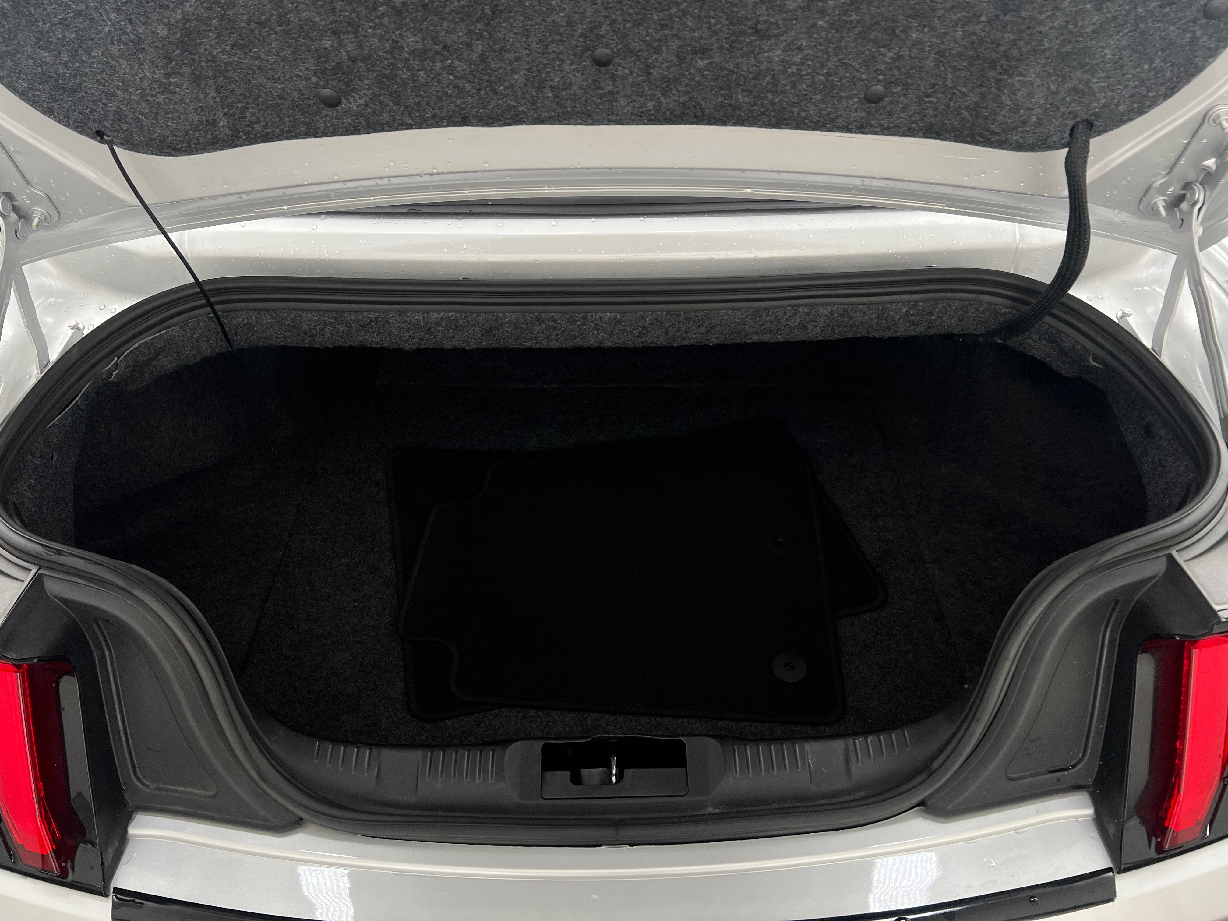 2019 Ford Mustang  5