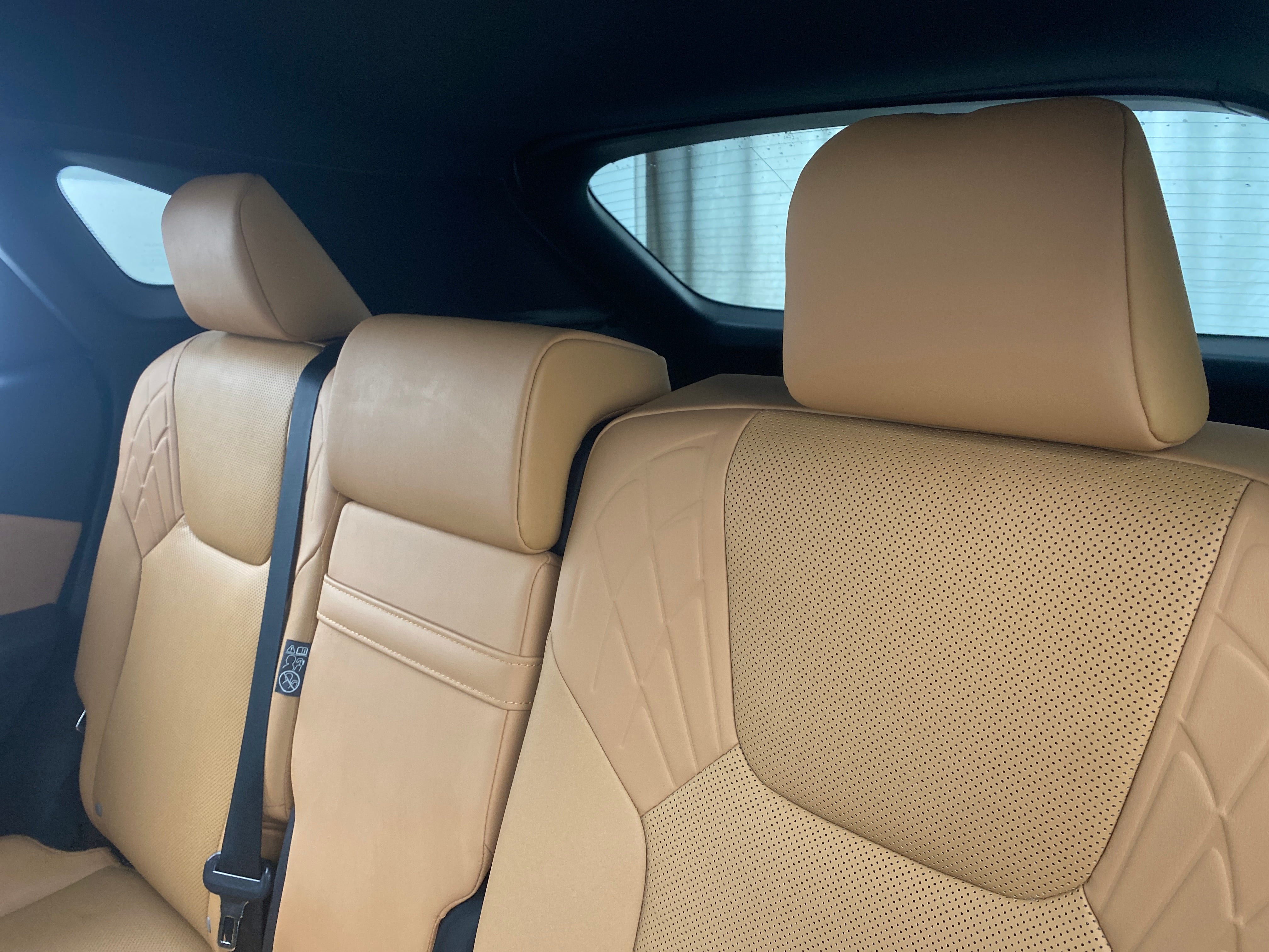 2023 Lexus RX 350 6