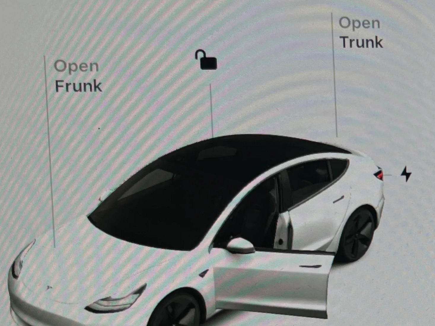 2021 Tesla Model 3 Standard Range 3