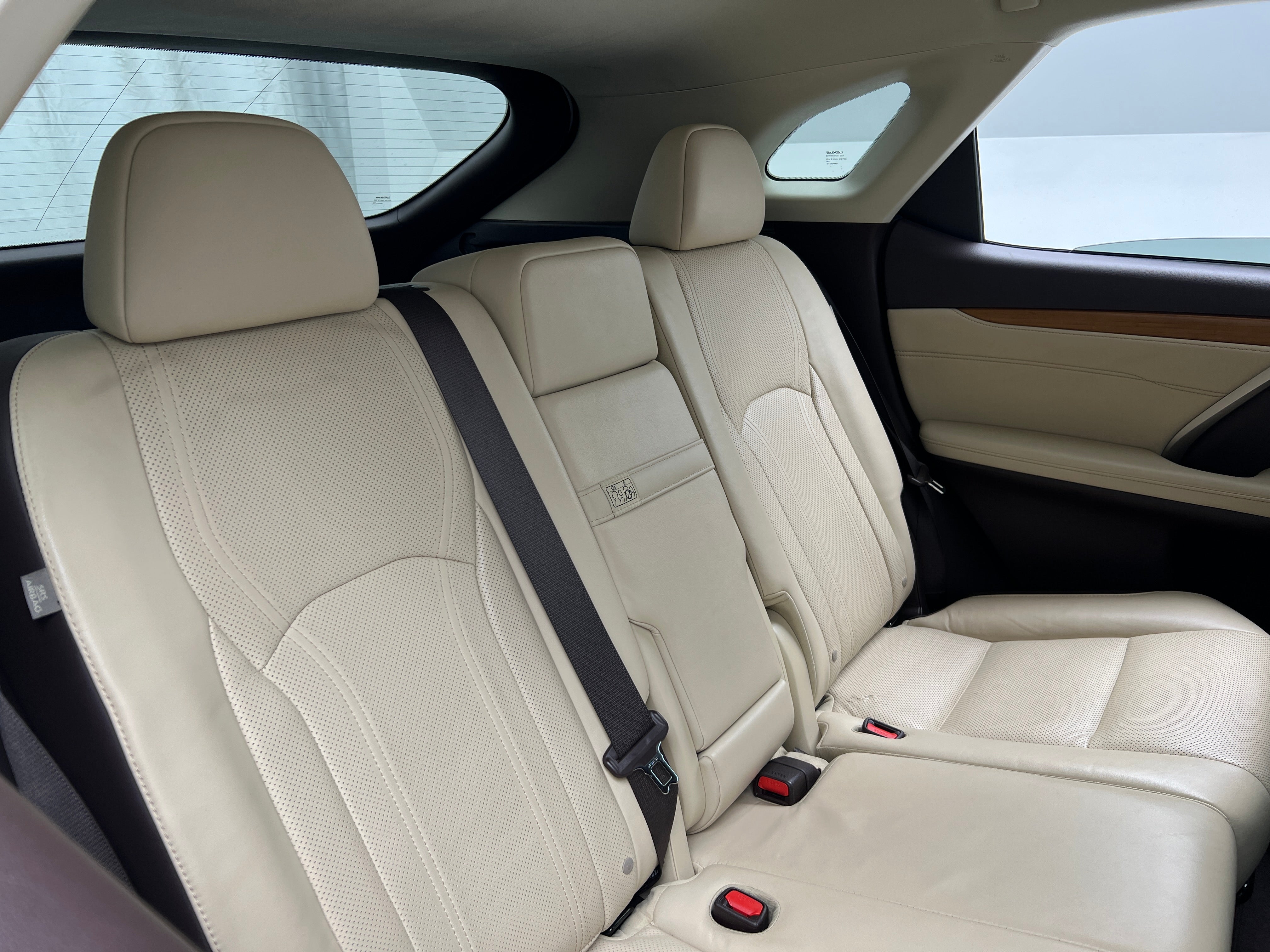 2019 Lexus RX 350 Sport Handling 6