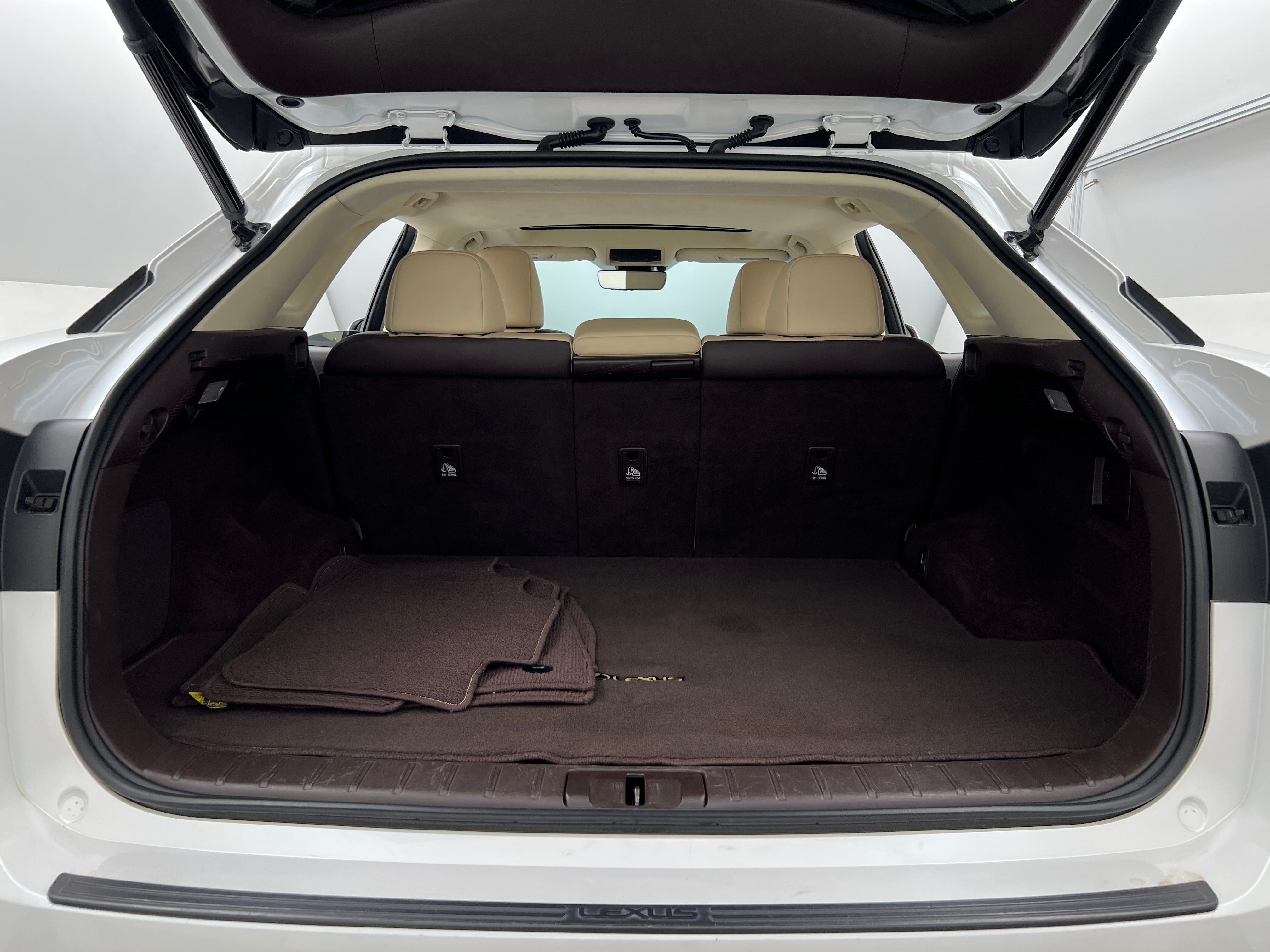 2019 Lexus RX 350 Sport Handling 7