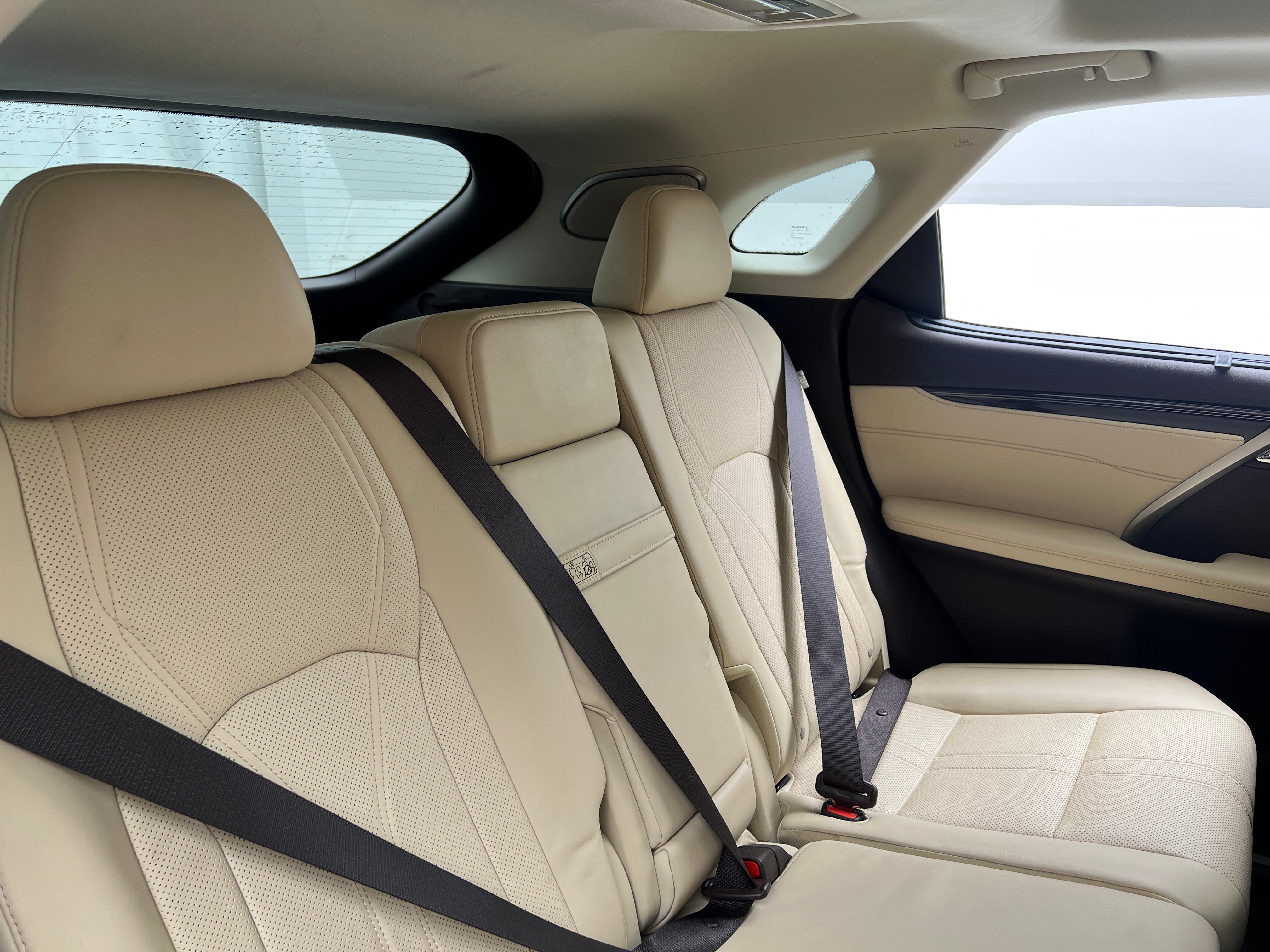 2018 Lexus RX Hybrid 450h 5
