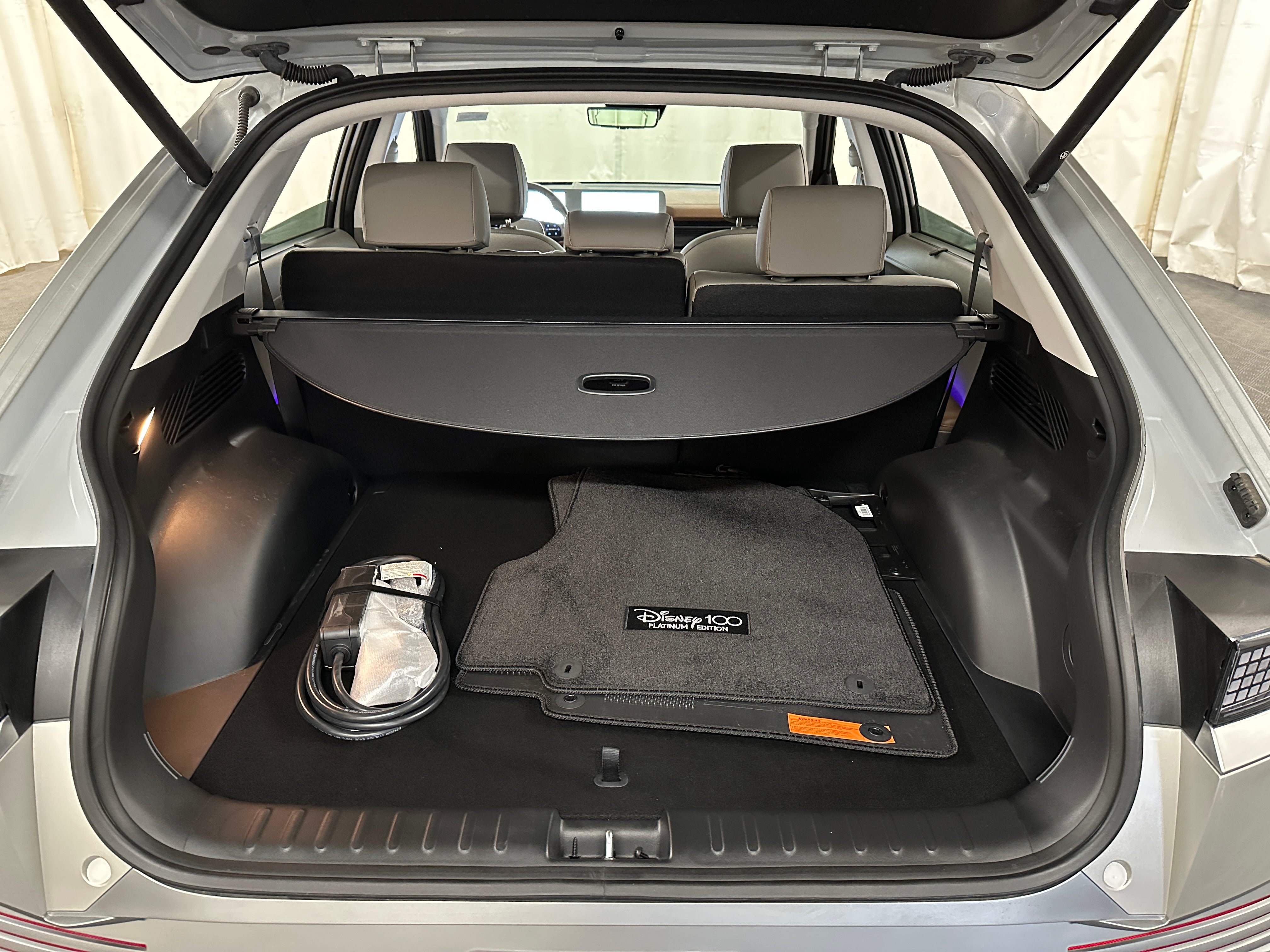 2024 Hyundai Ioniq 5 Disney100 Platinum 6