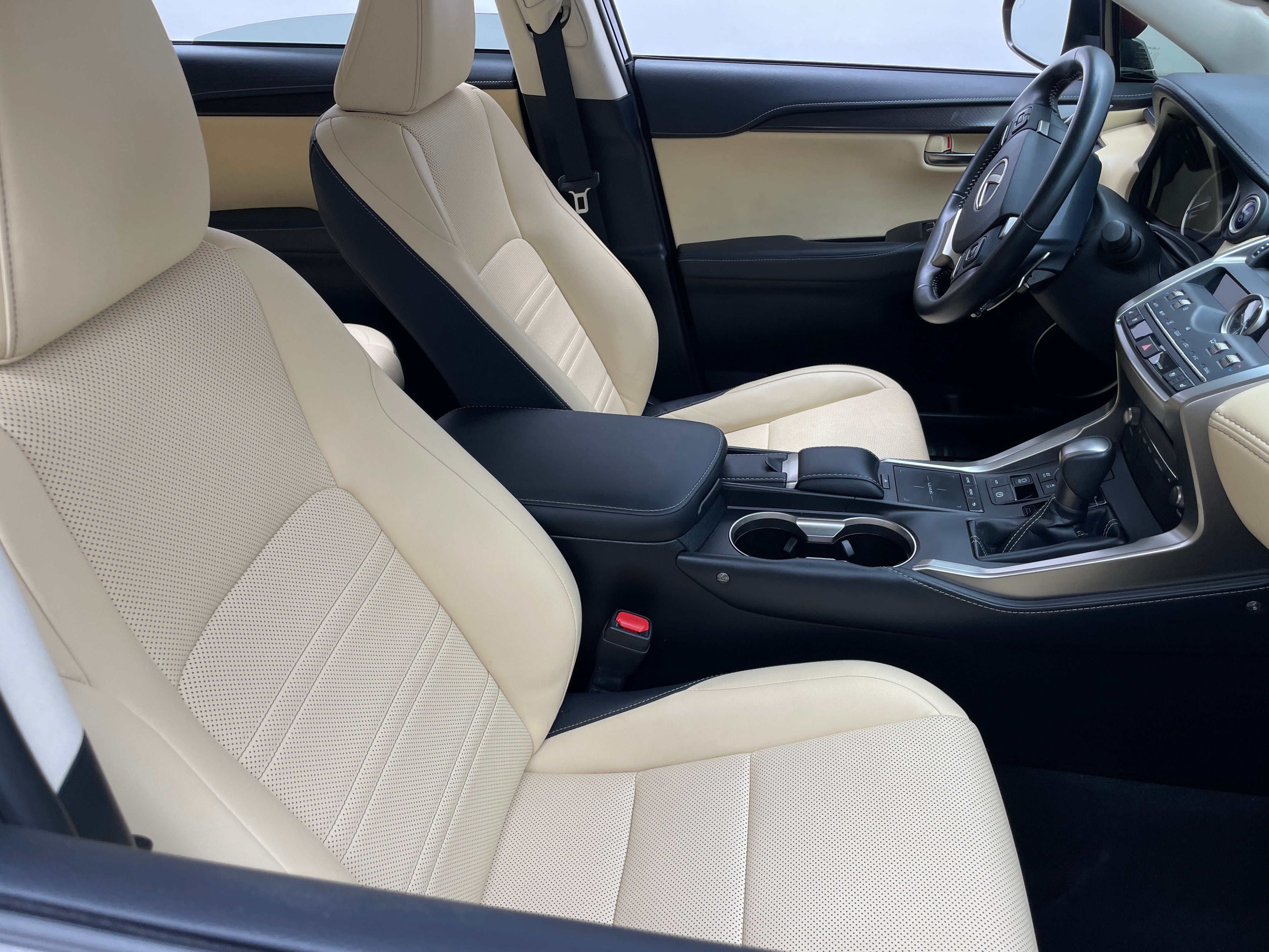 2019 Lexus NX Hybrid 300h 2