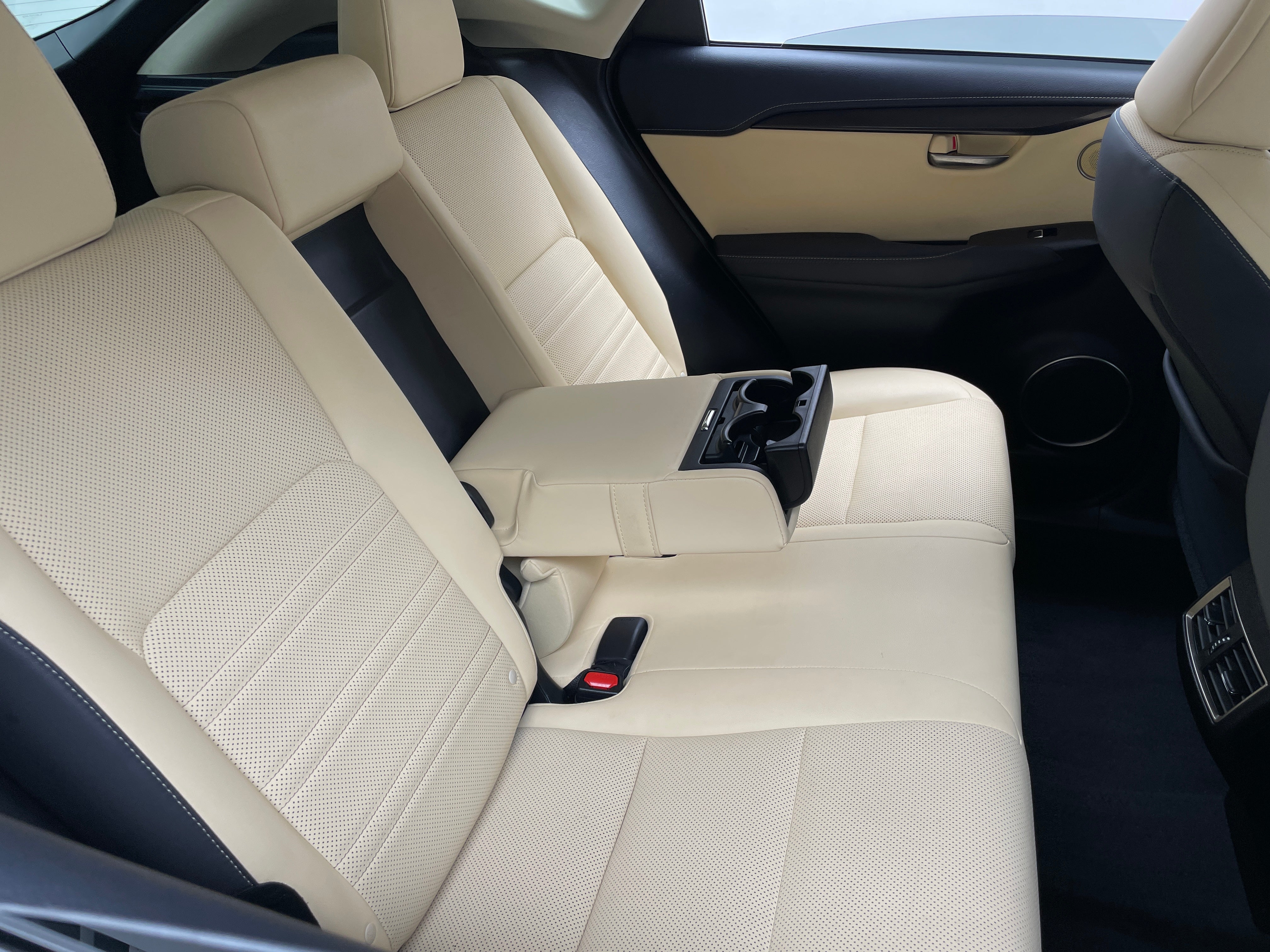 2019 Lexus NX Hybrid 300h 6