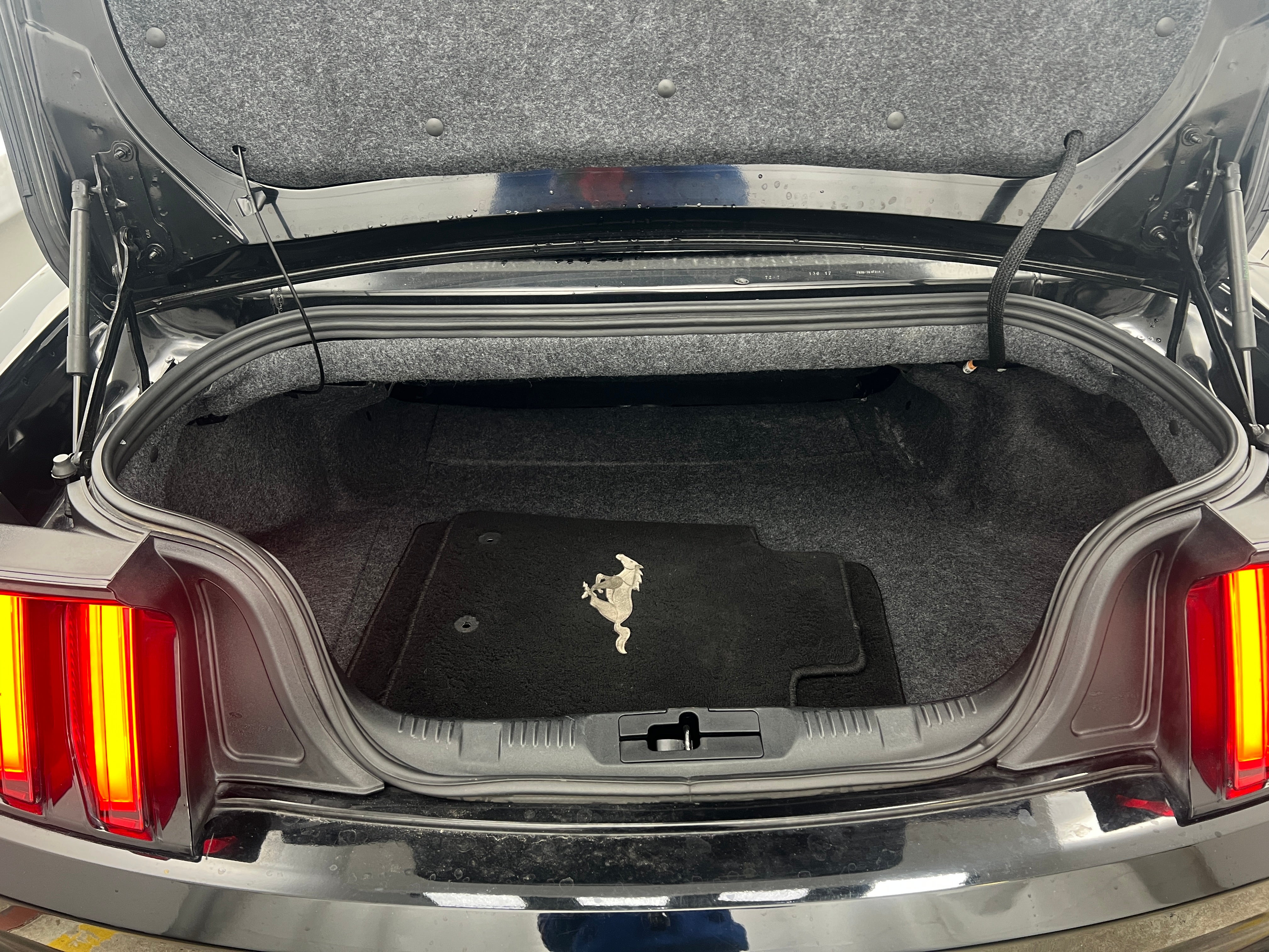 2017 Ford Mustang GT Premium 6