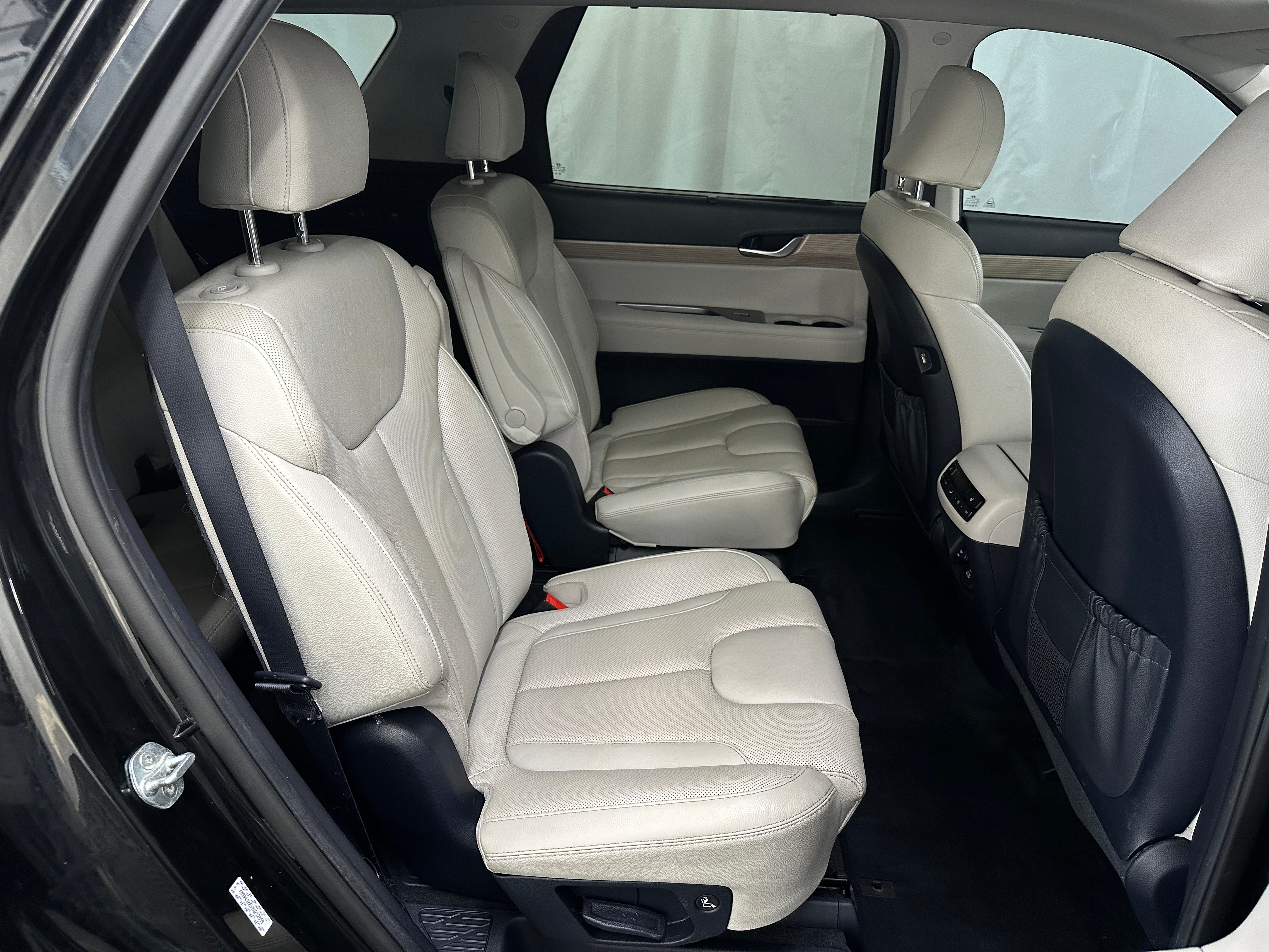 2021 Hyundai Palisade SEL 6