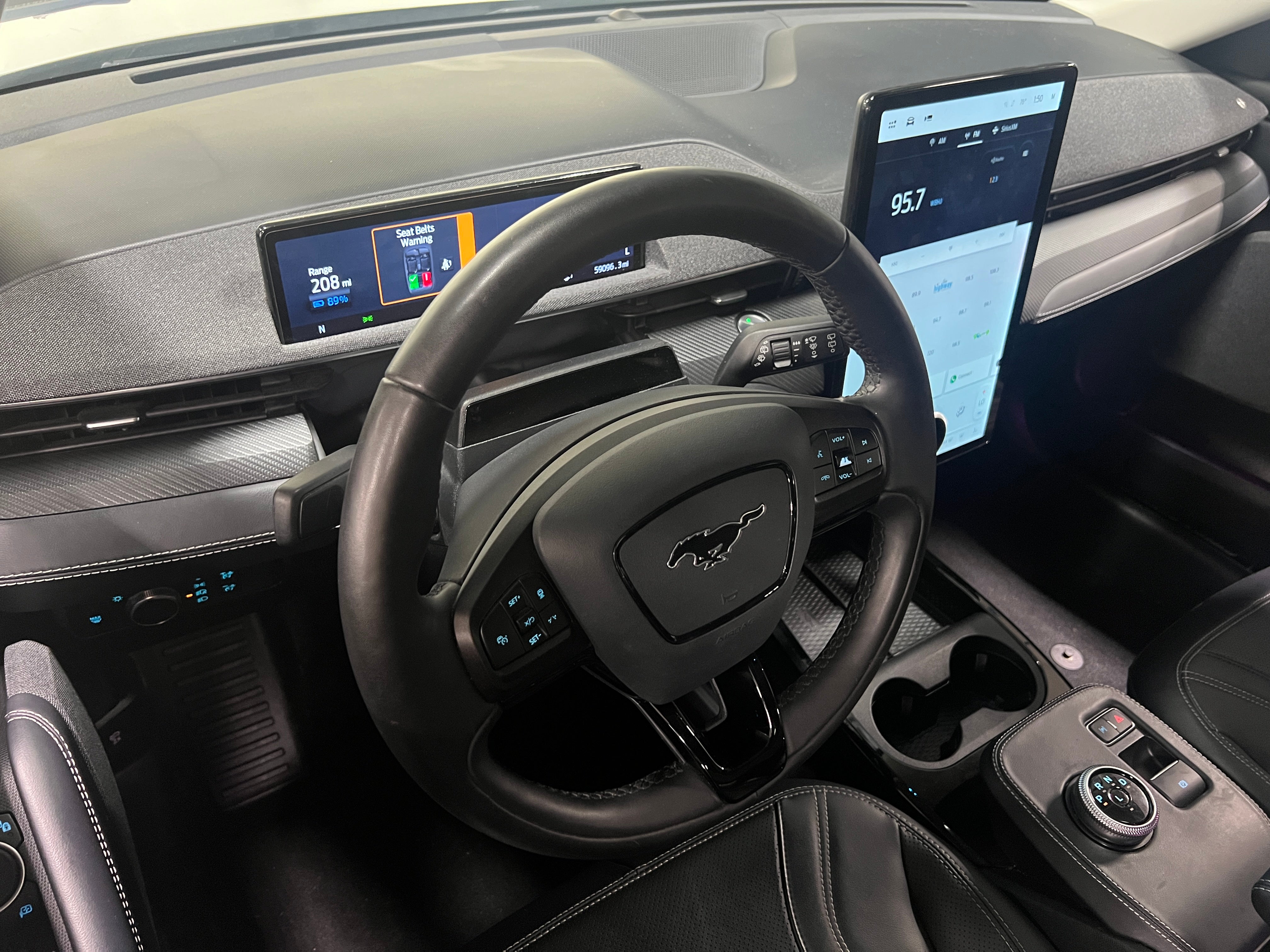 2021 Ford Mustang Mach-E Premium 2