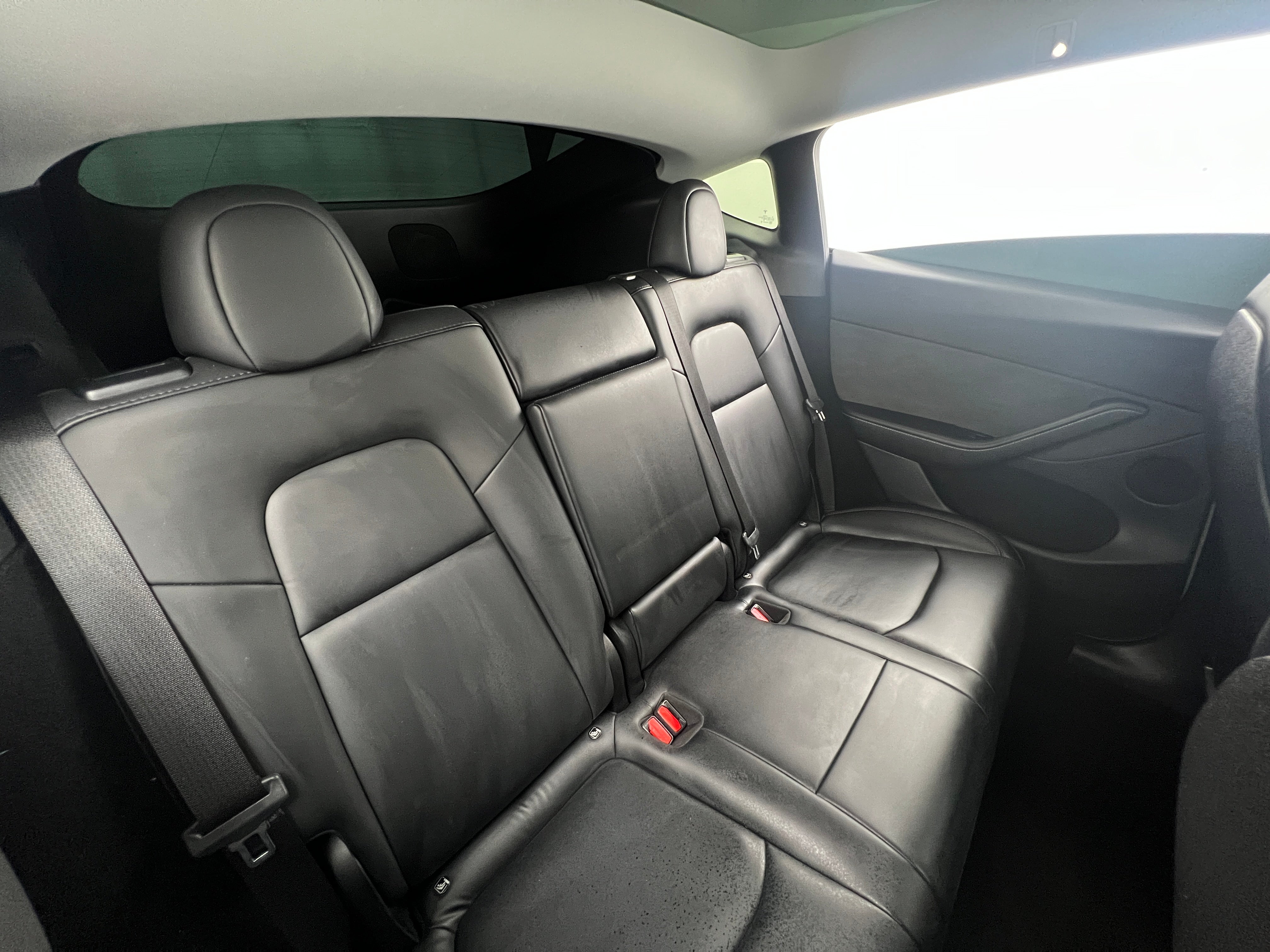 2023 Tesla Model Y Long Range 5