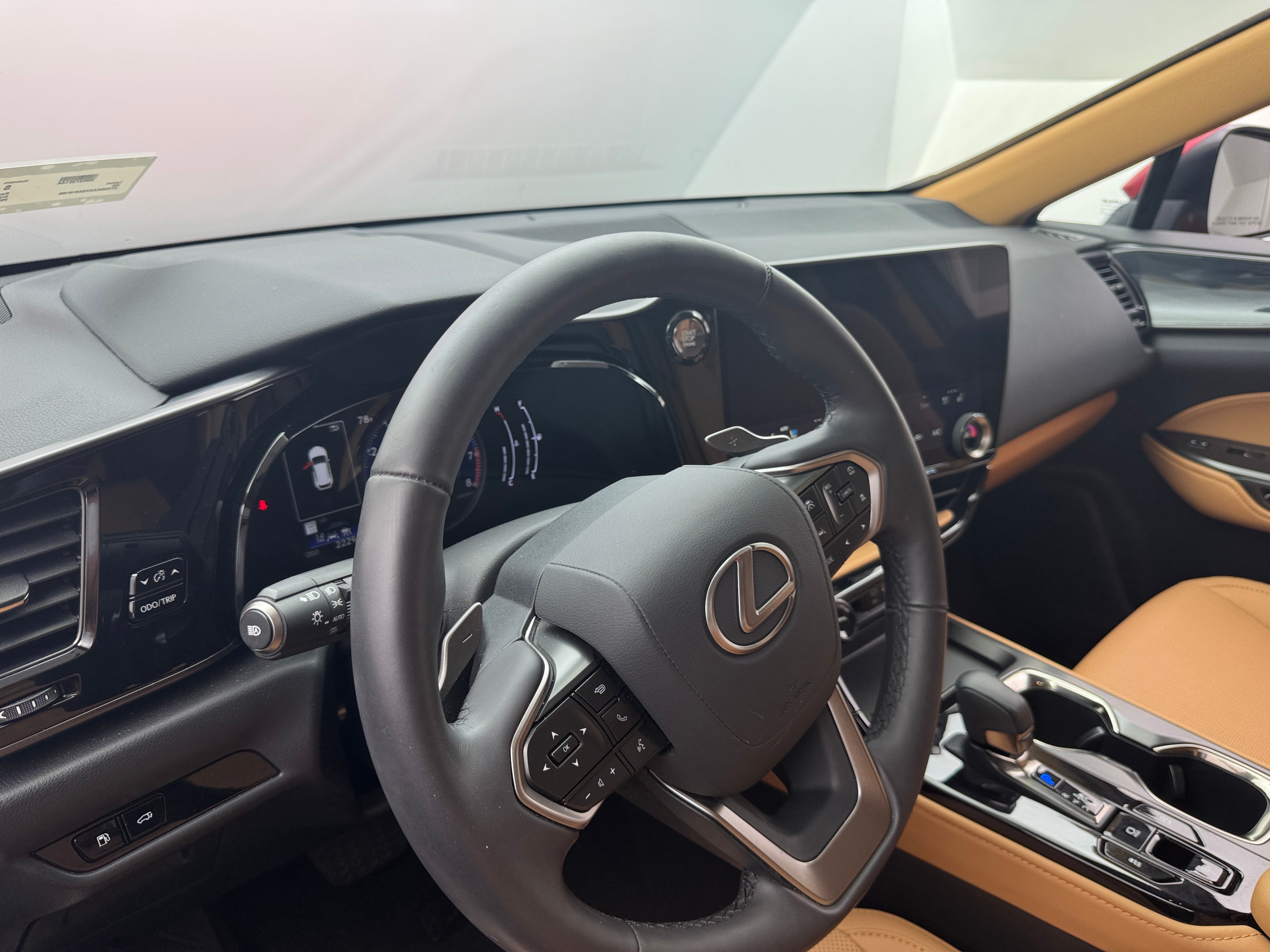 2025 Lexus NX 250 2