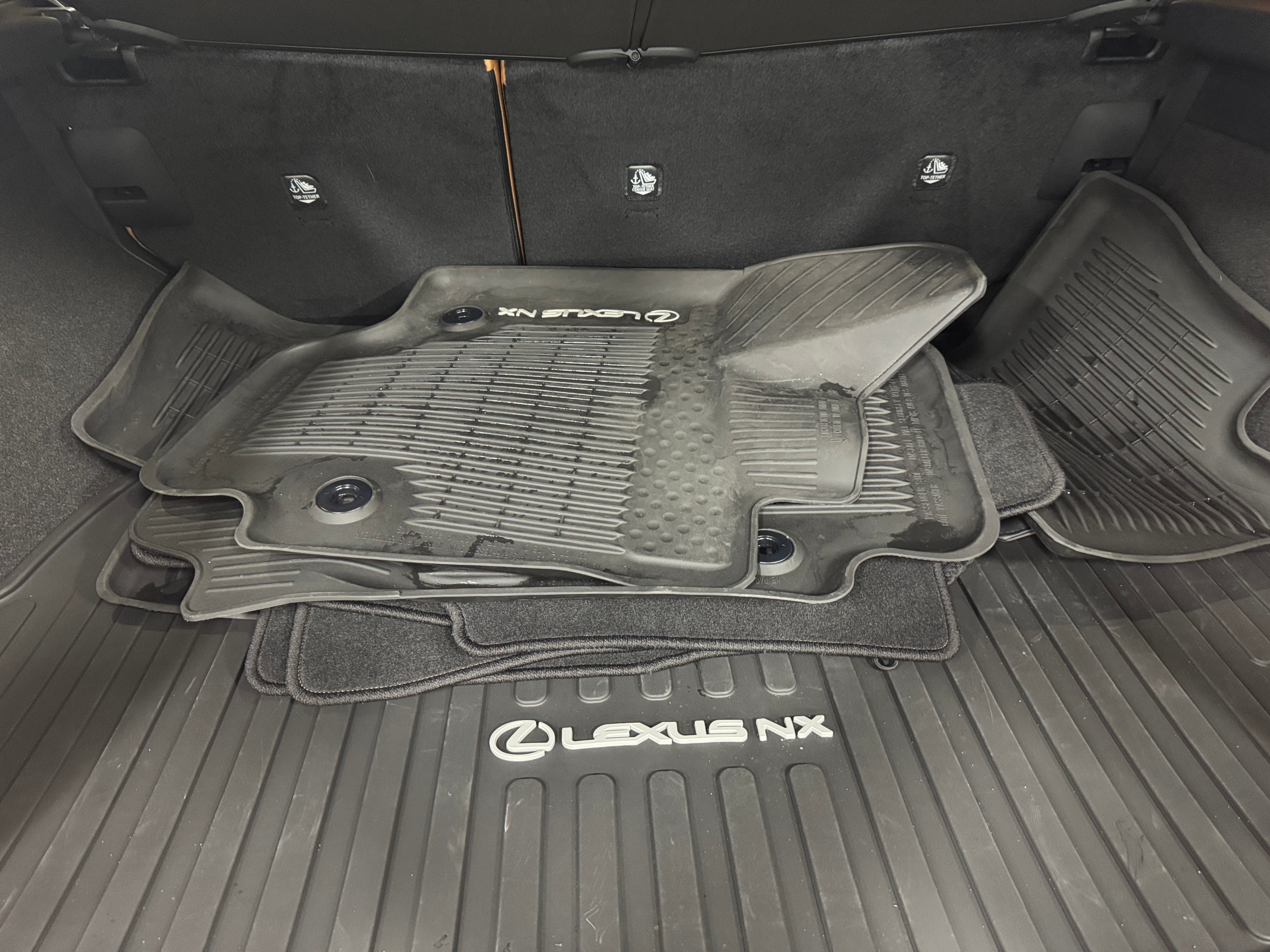 2025 Lexus NX 250 6