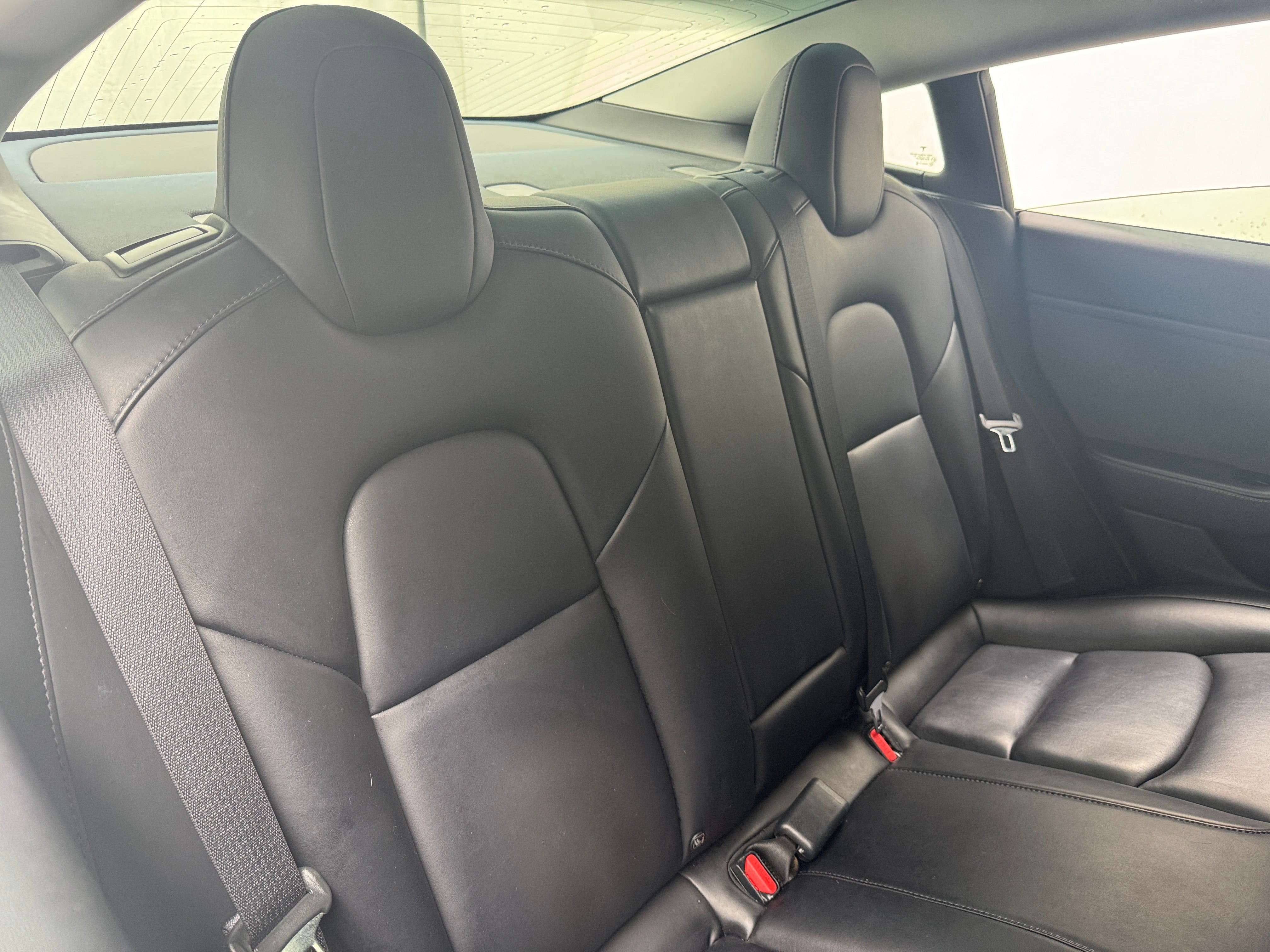2019 Tesla Model 3 Standard Range 5