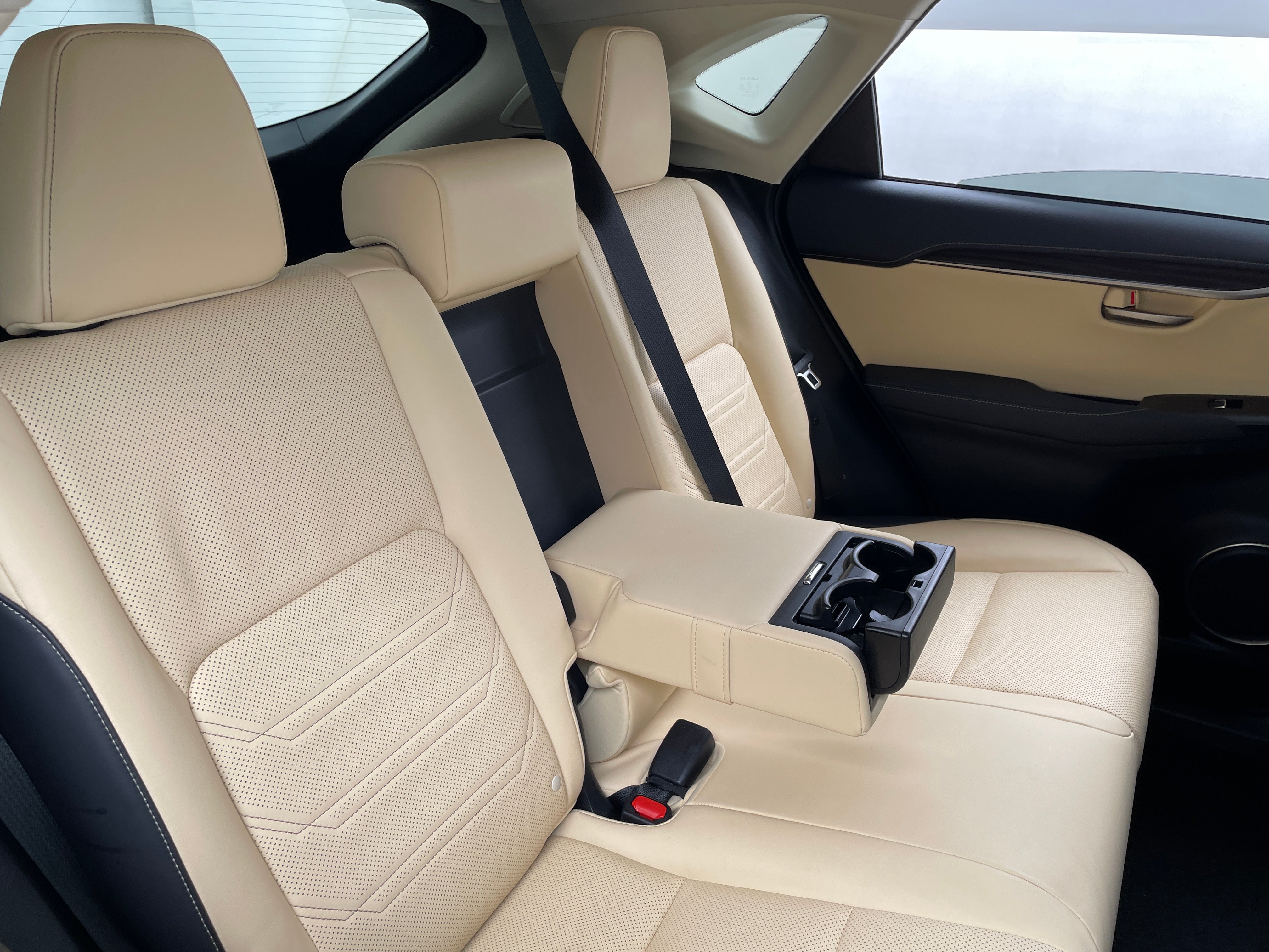2021 Lexus NX Hybrid 300h 5