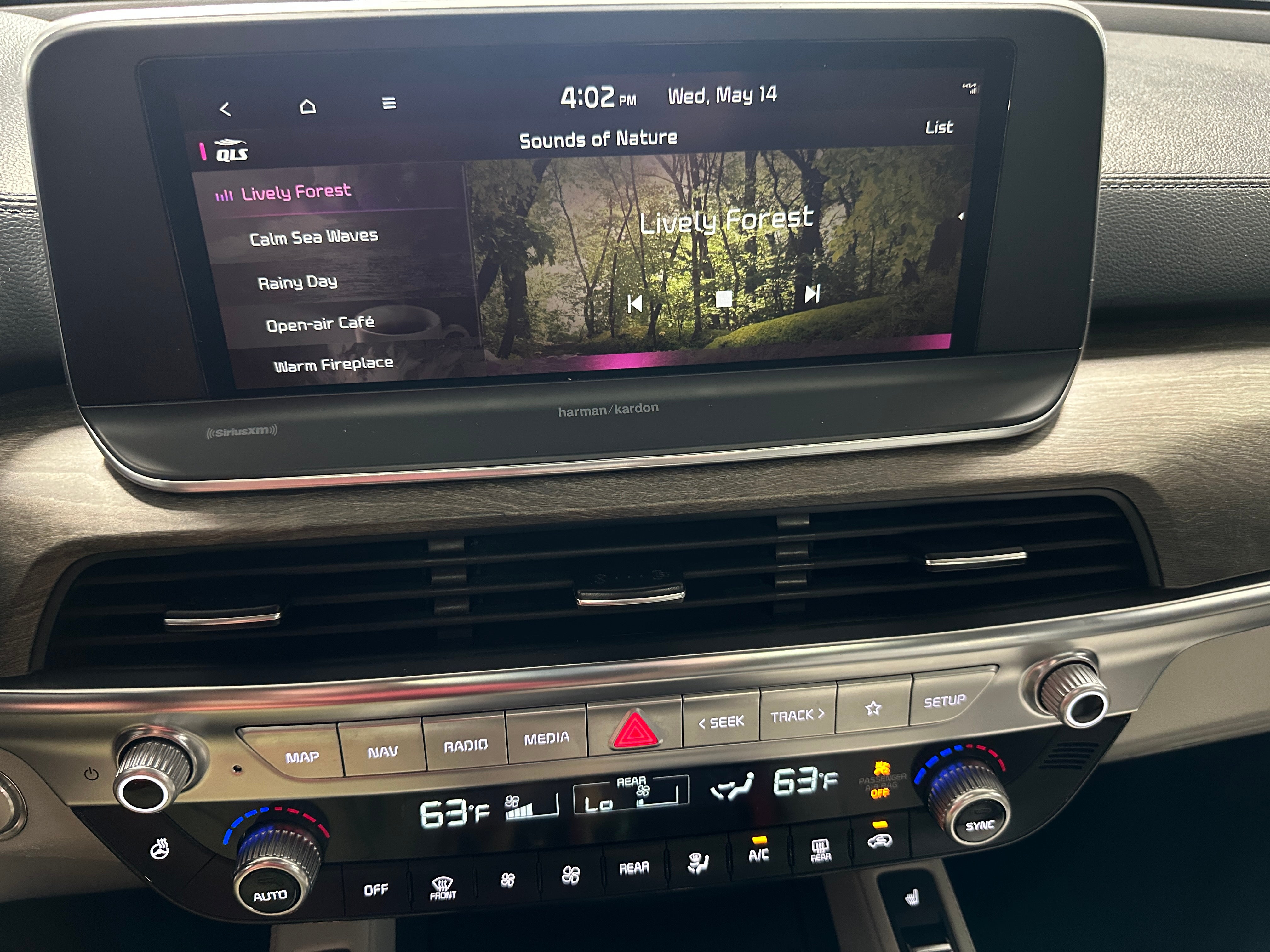 2021 Kia Telluride SX 3