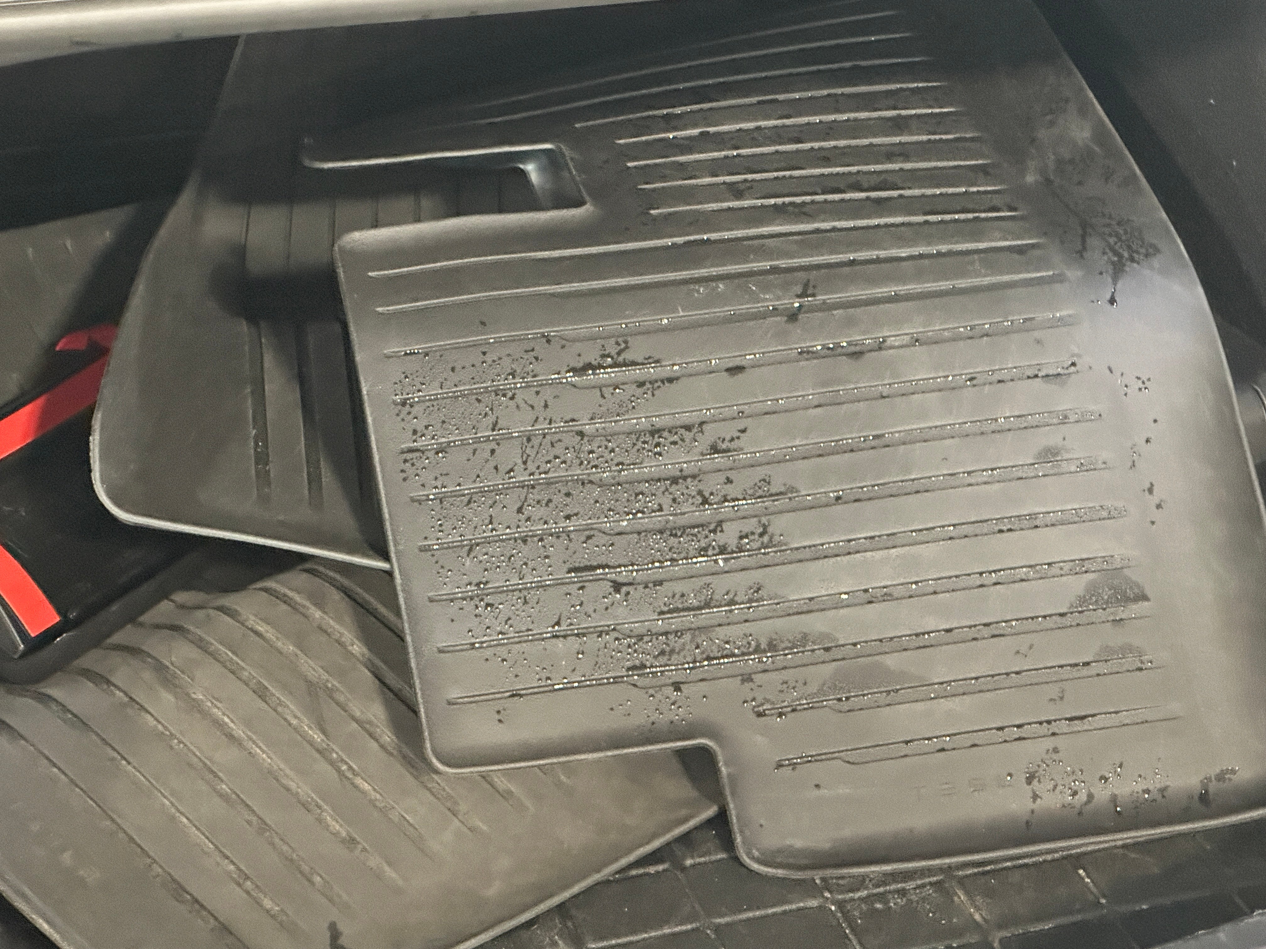 2019 Tesla Model 3 Long Range 5