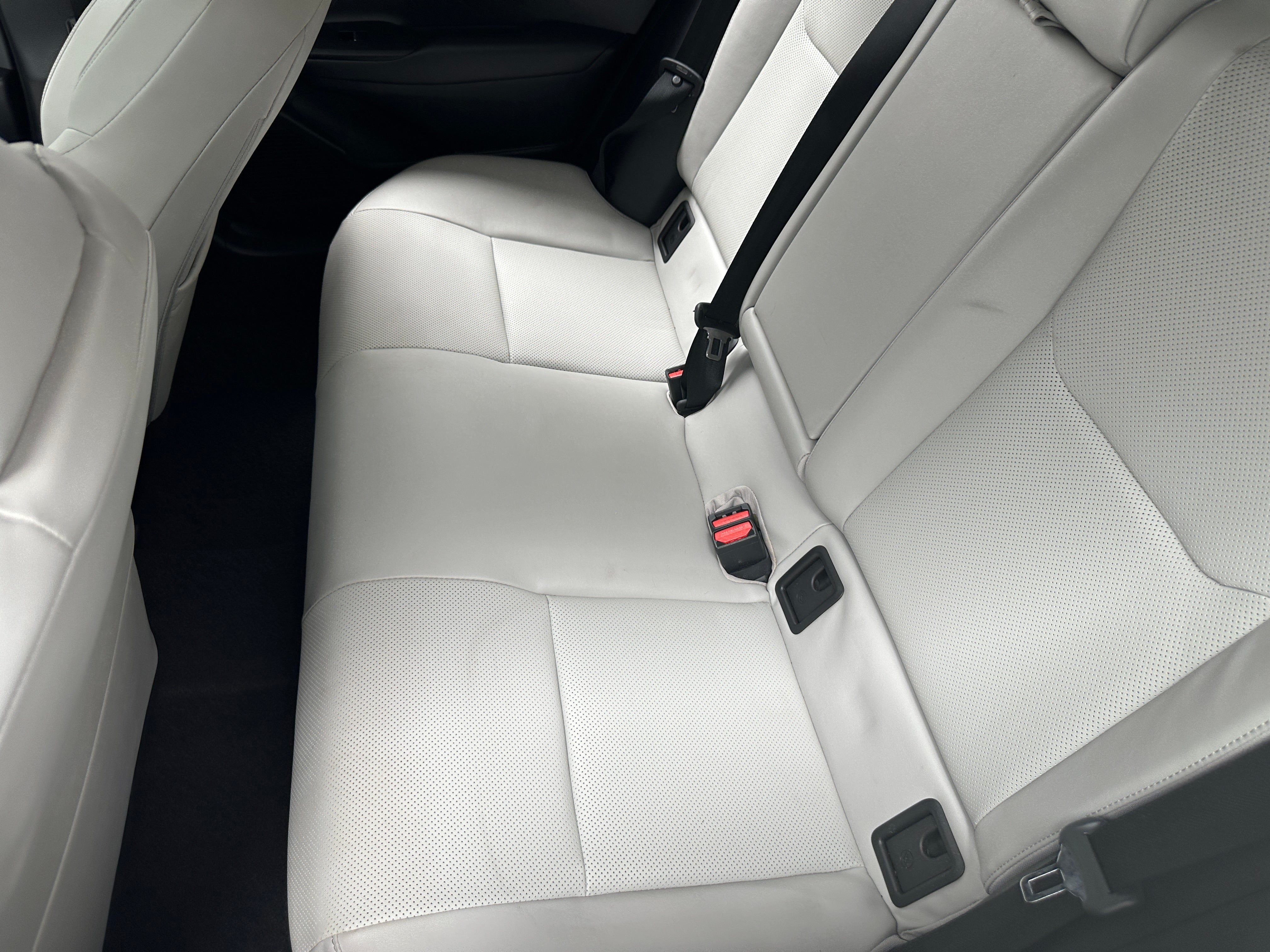 2023 Toyota Prius XLE 5