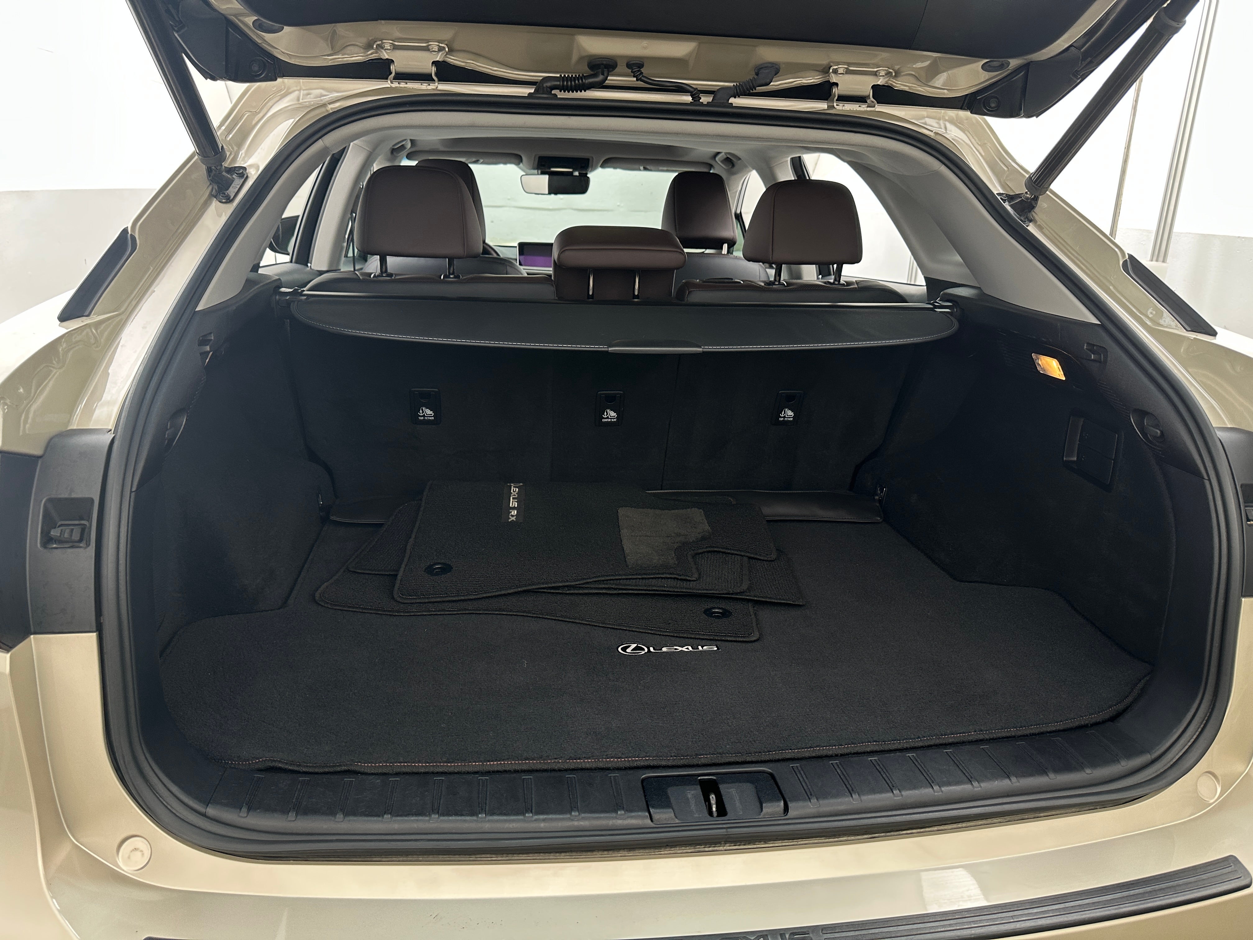 2019 Lexus RX 350 7