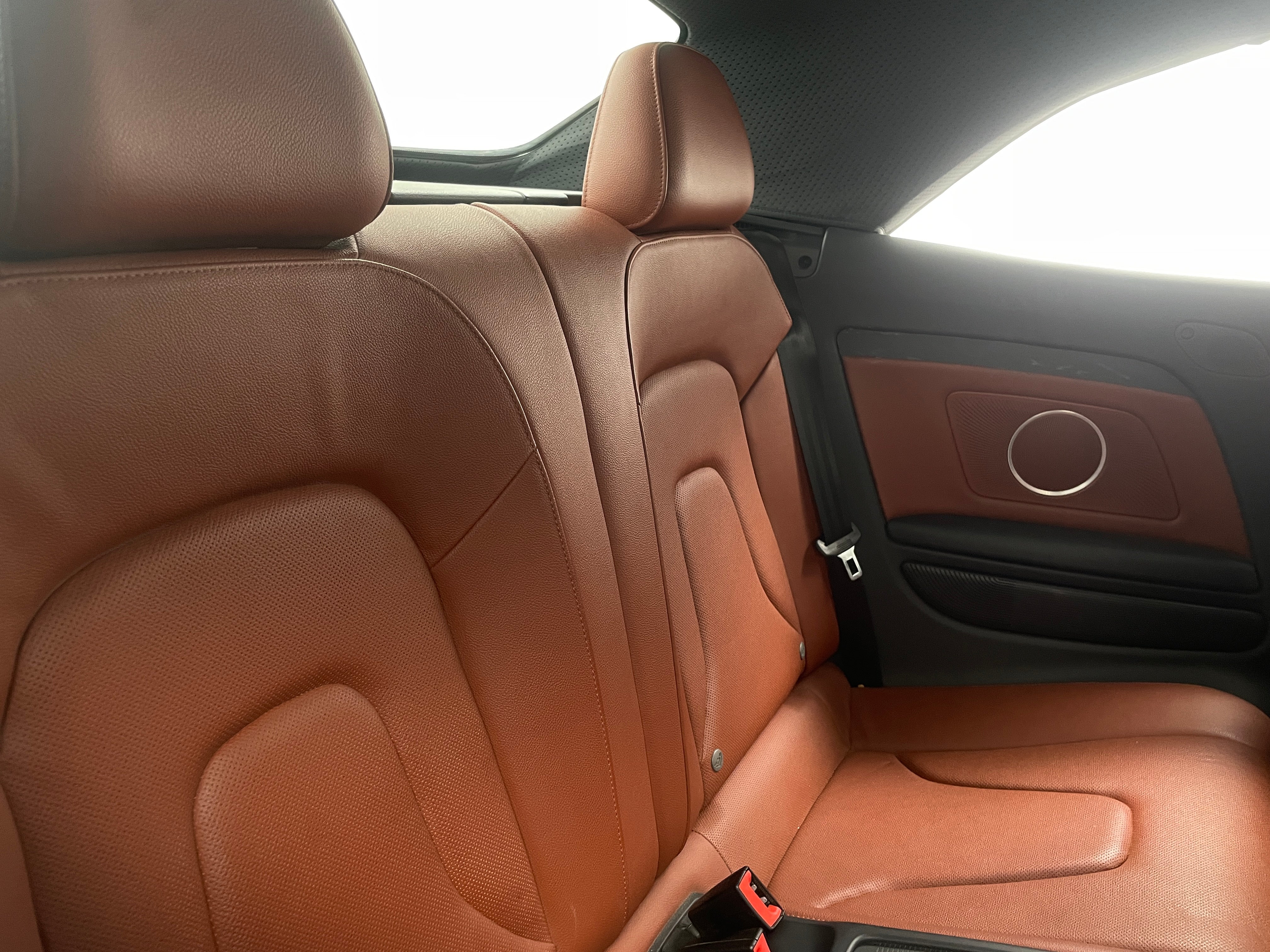 2010 Audi S5  5