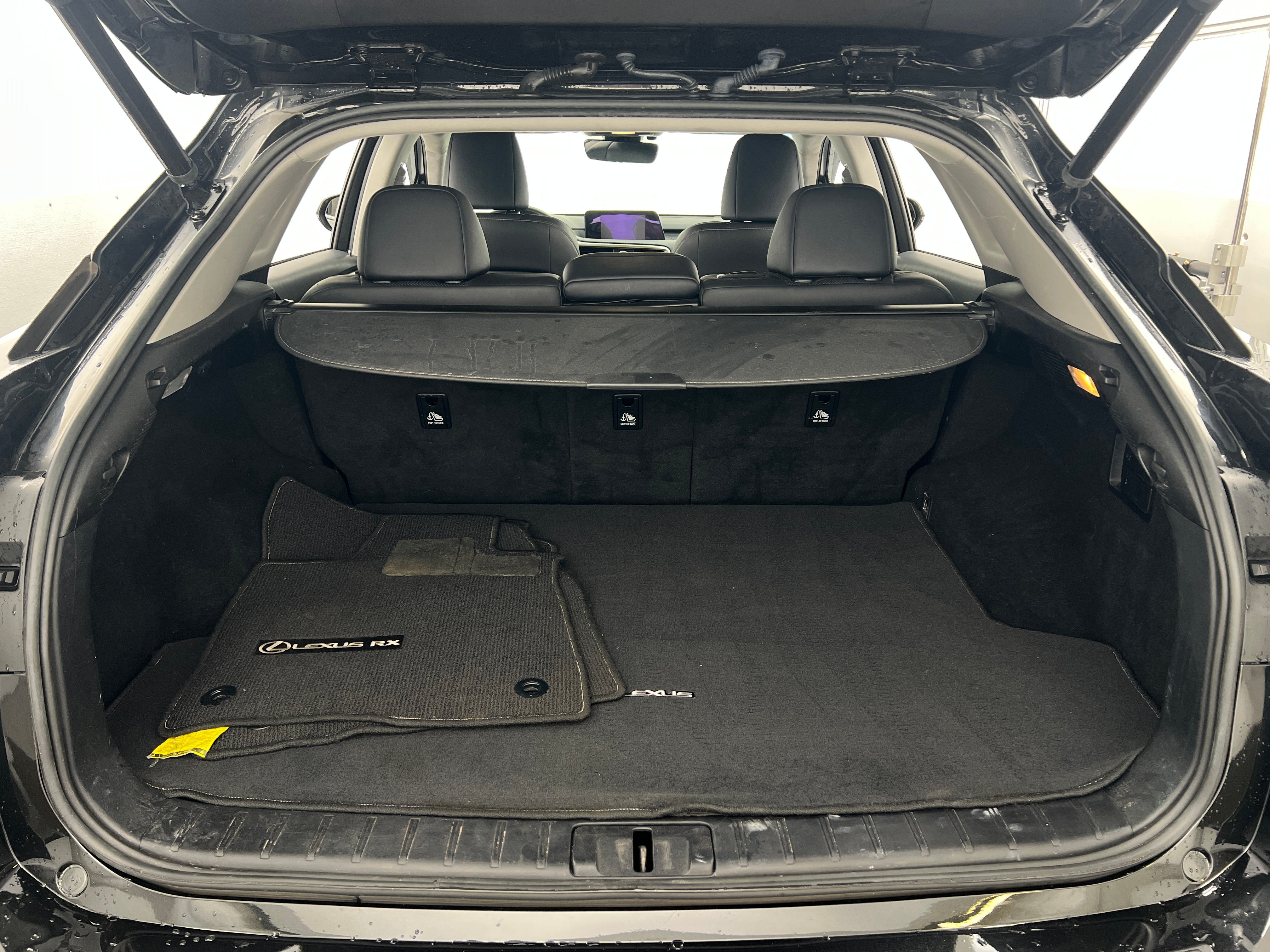 2019 Lexus RX 350 7