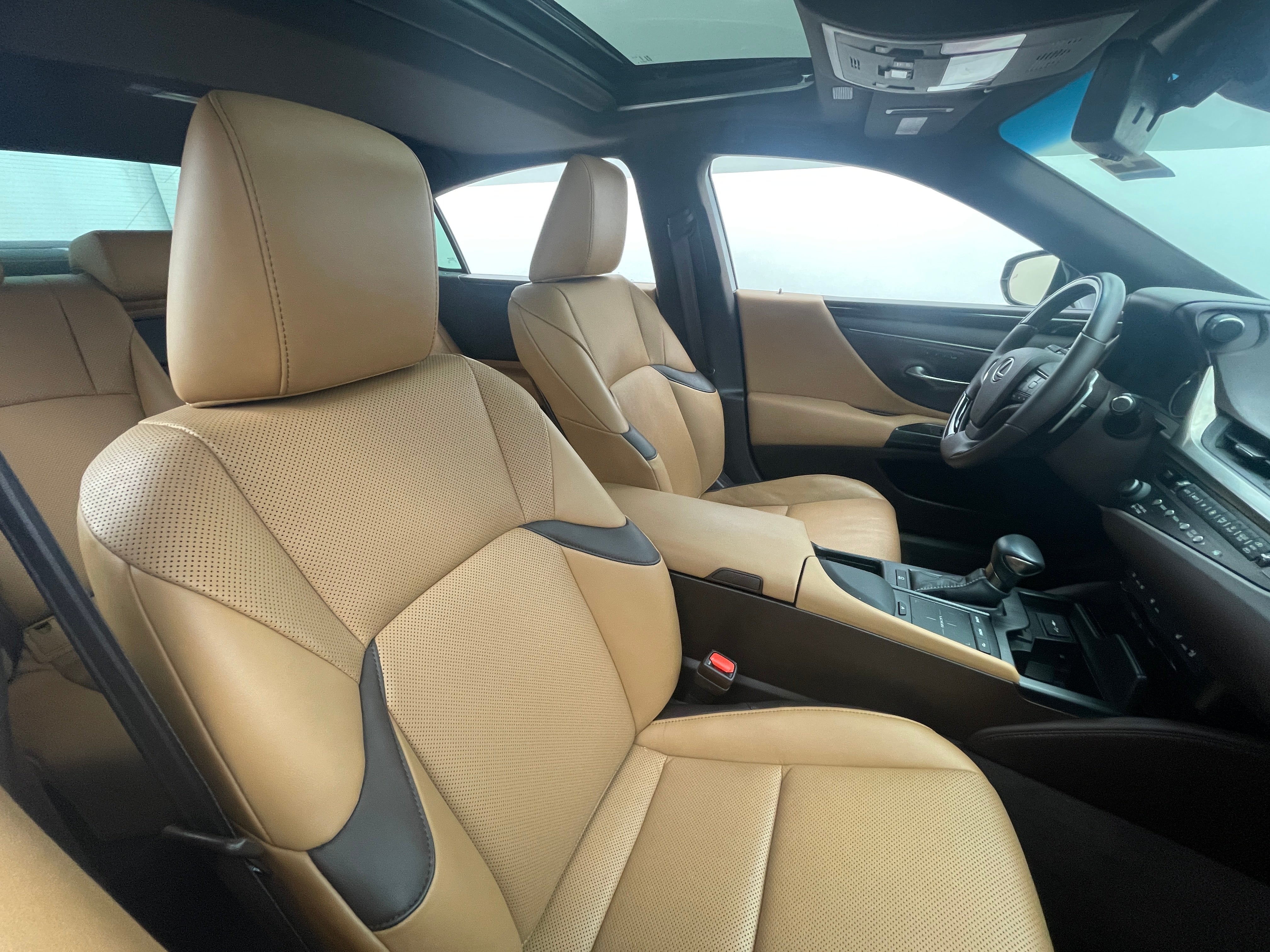 2019 Lexus ES 350 2