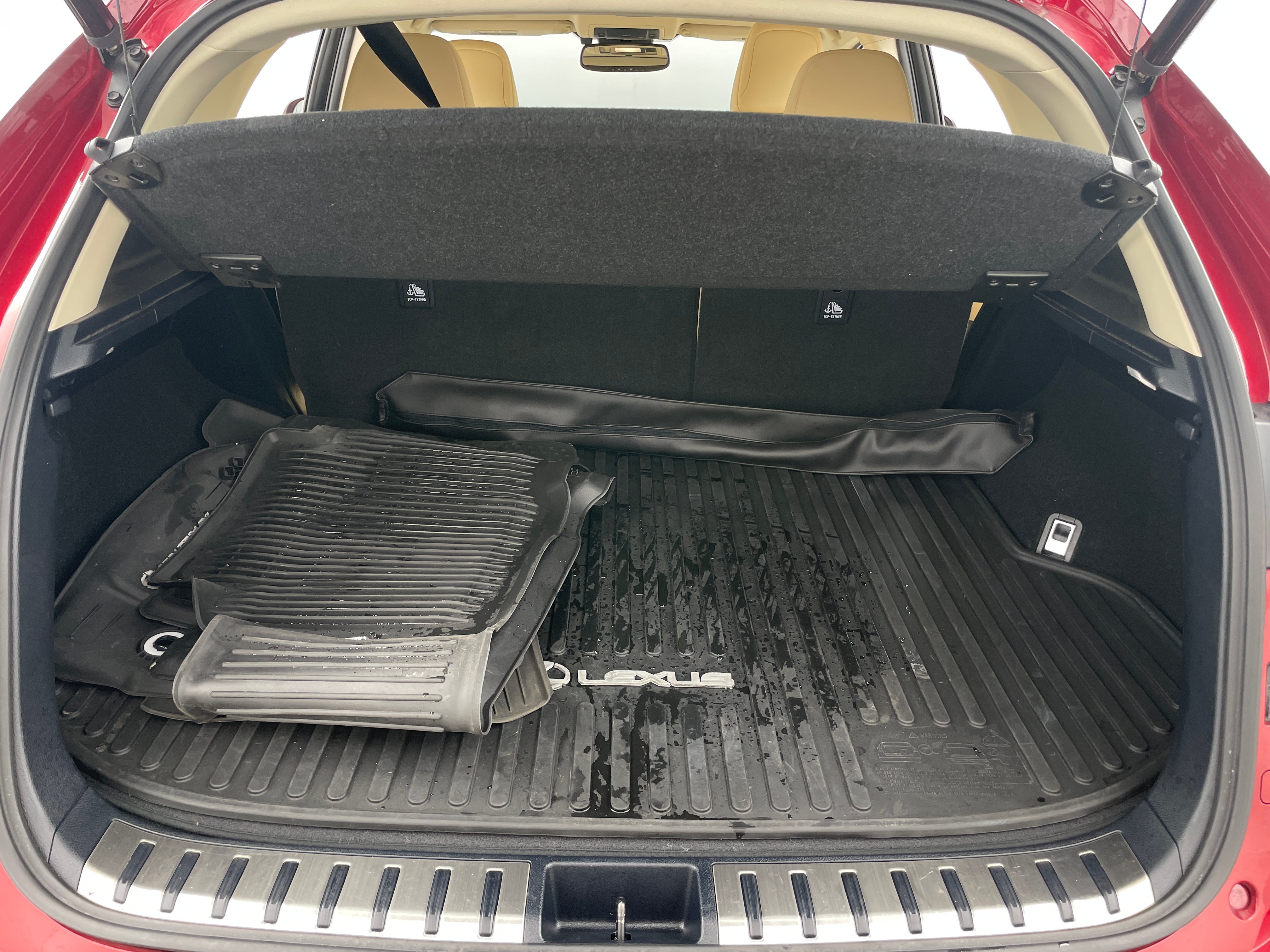 2019 Lexus NX 300 6