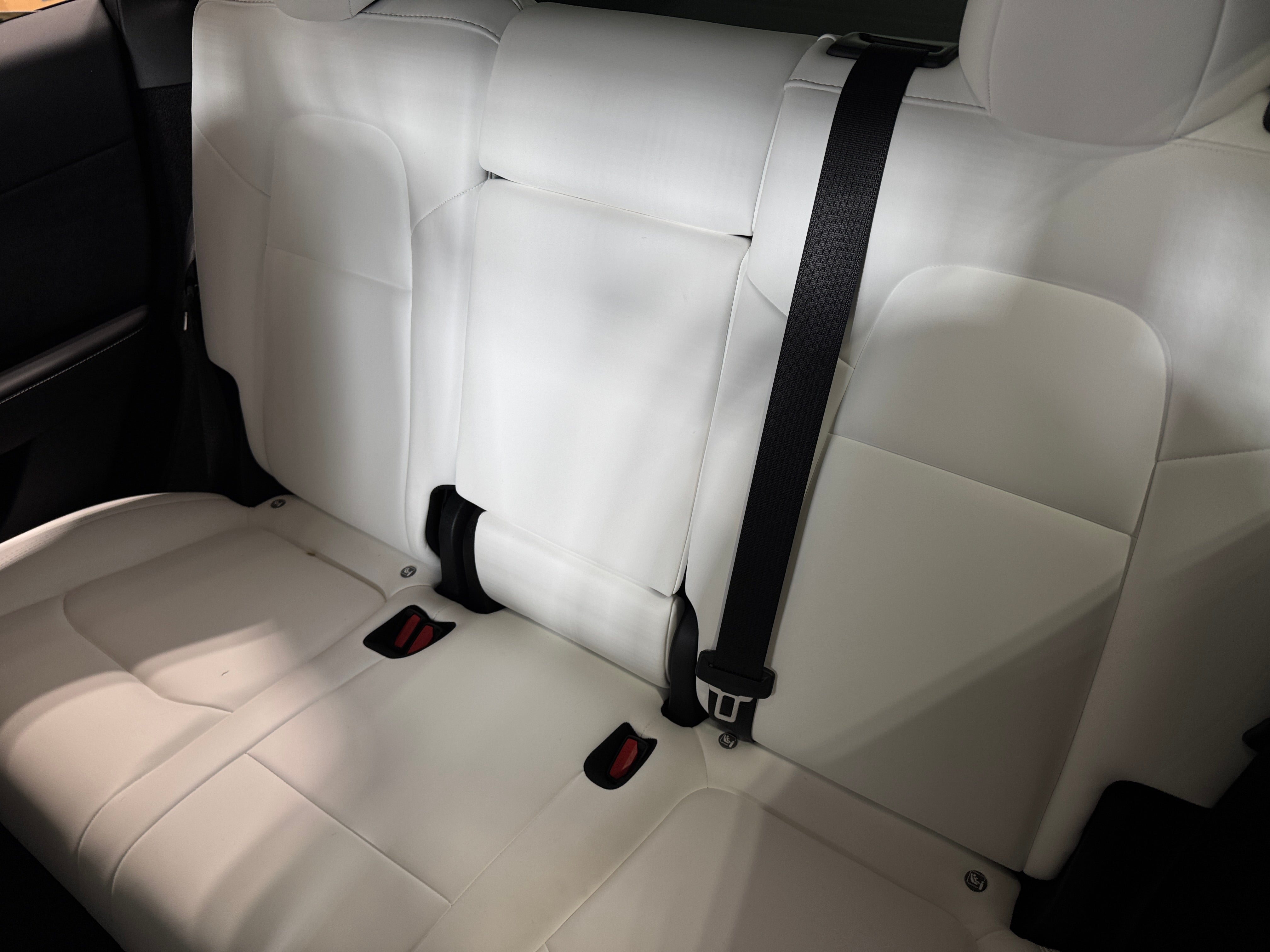 2024 Tesla Model Y Long Range 5