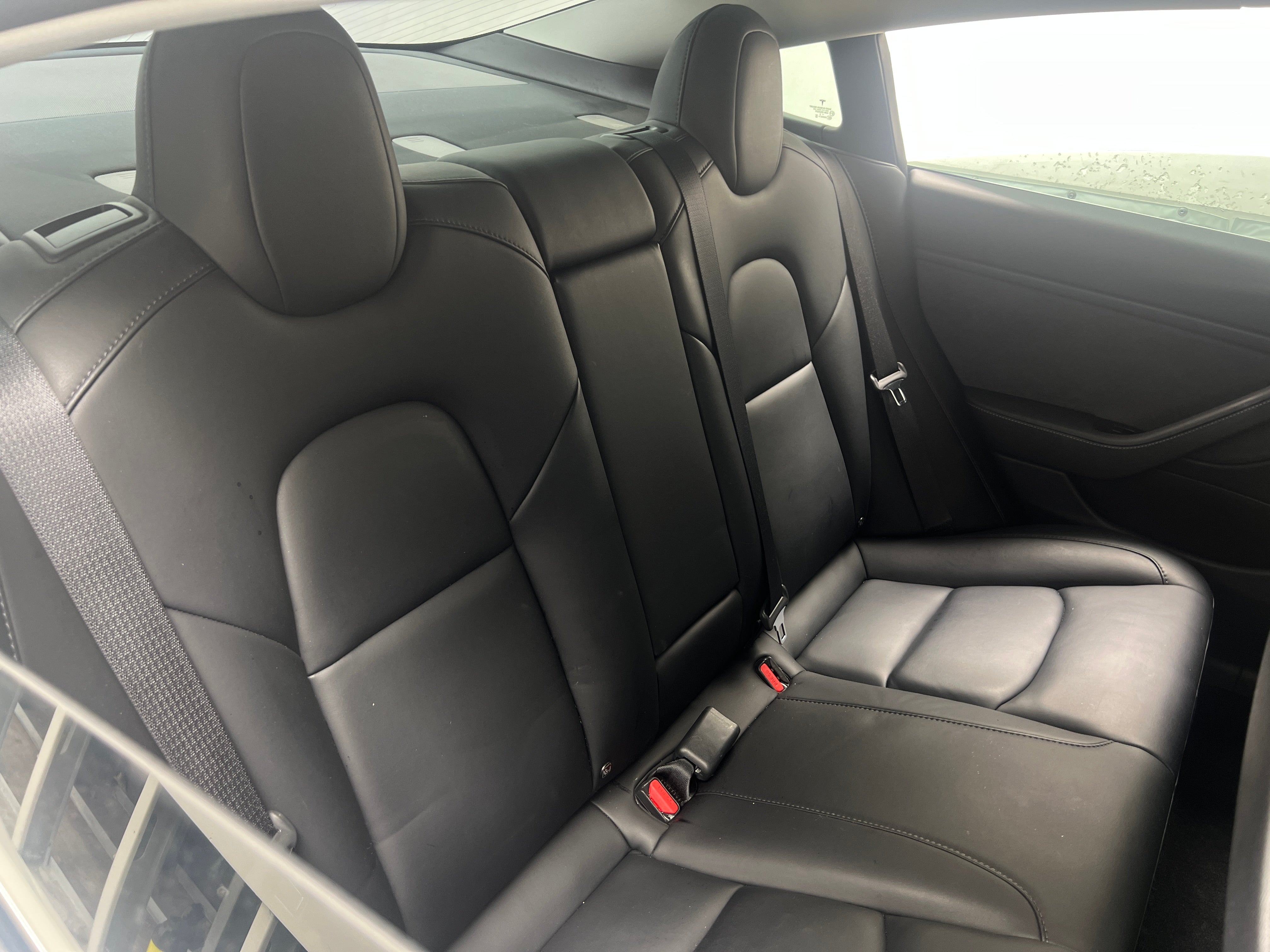 2019 Tesla Model 3 Long Range 4