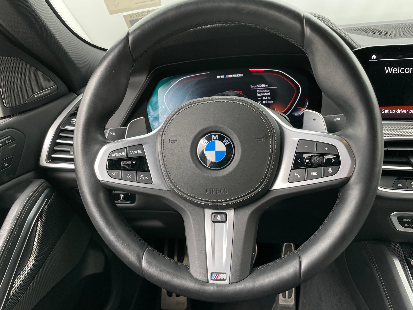 Thumbnail: 2020 BMW X6 - 4