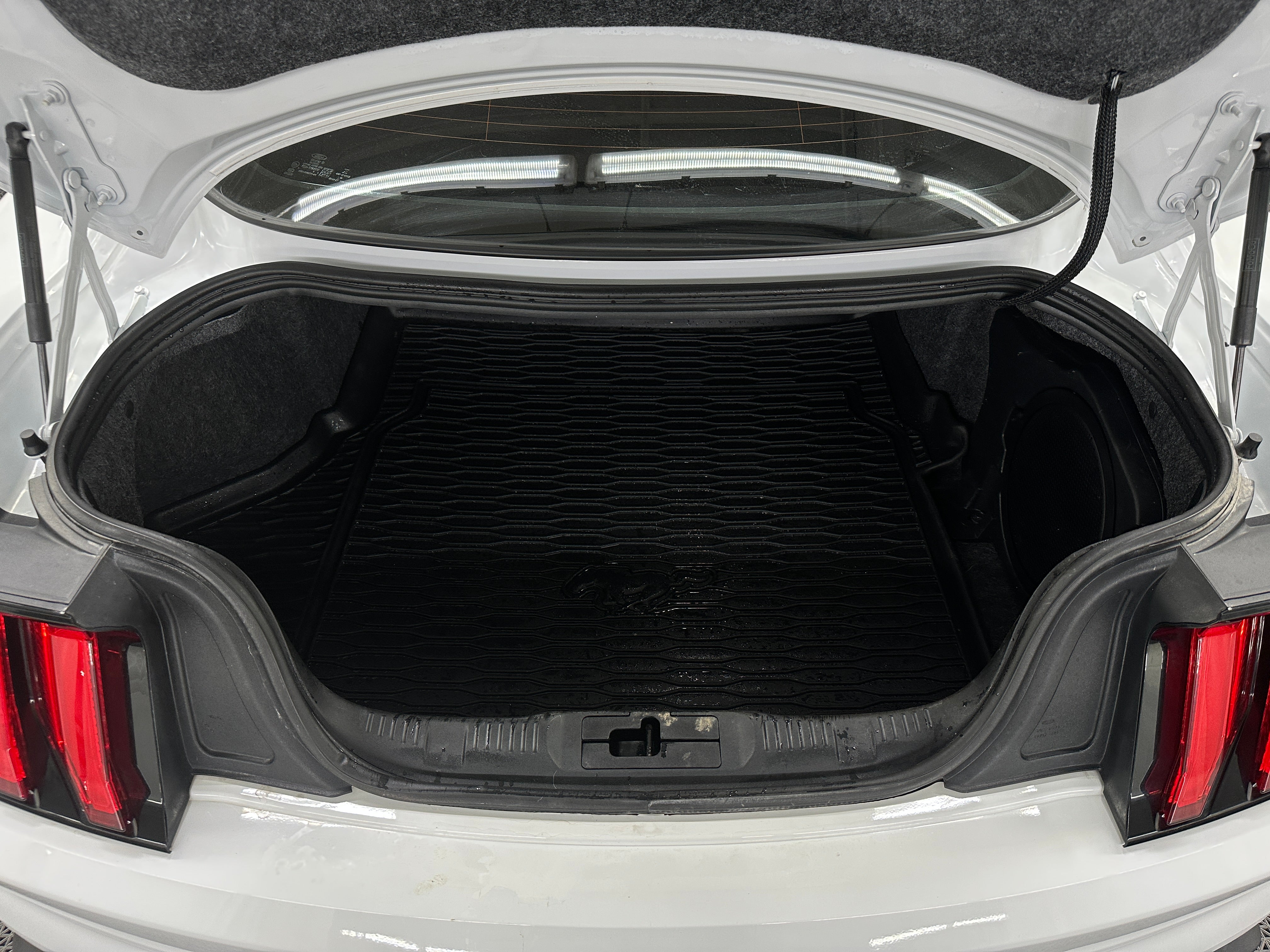 2019 Ford Mustang GT Premium 5