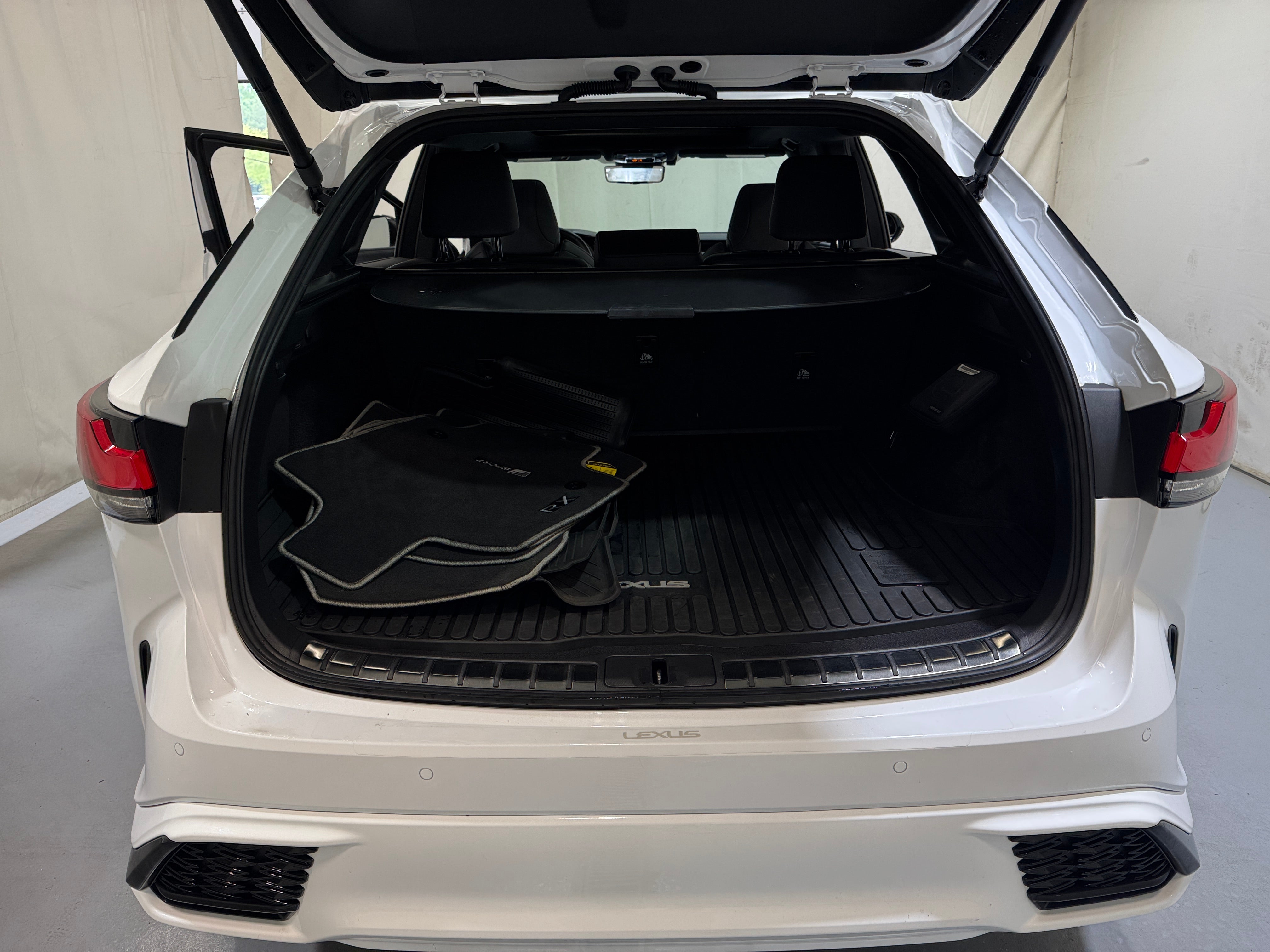 2023 Lexus RX Hybrid 500h F Sport Performance 6