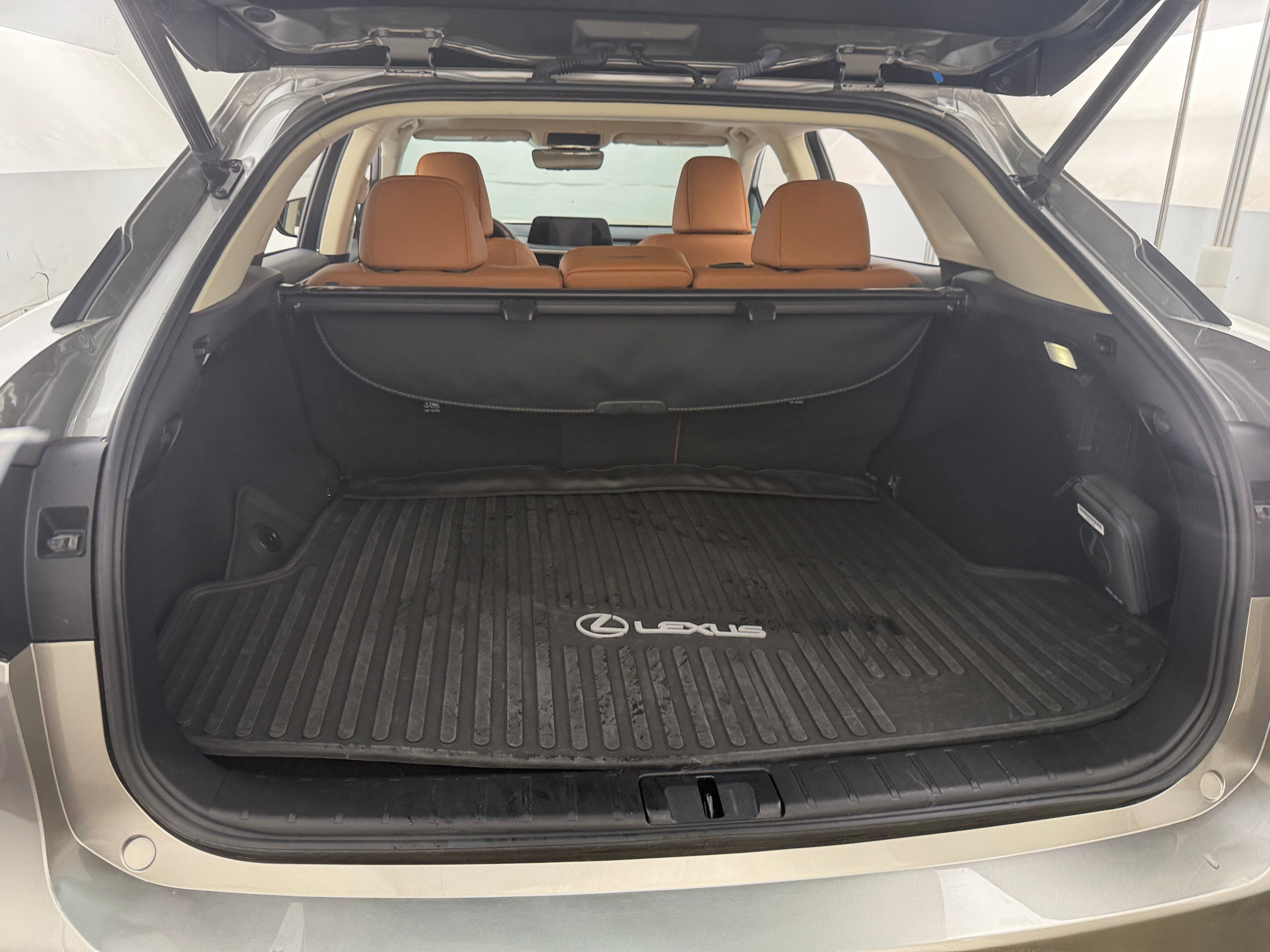 2022 Lexus RX 350 6