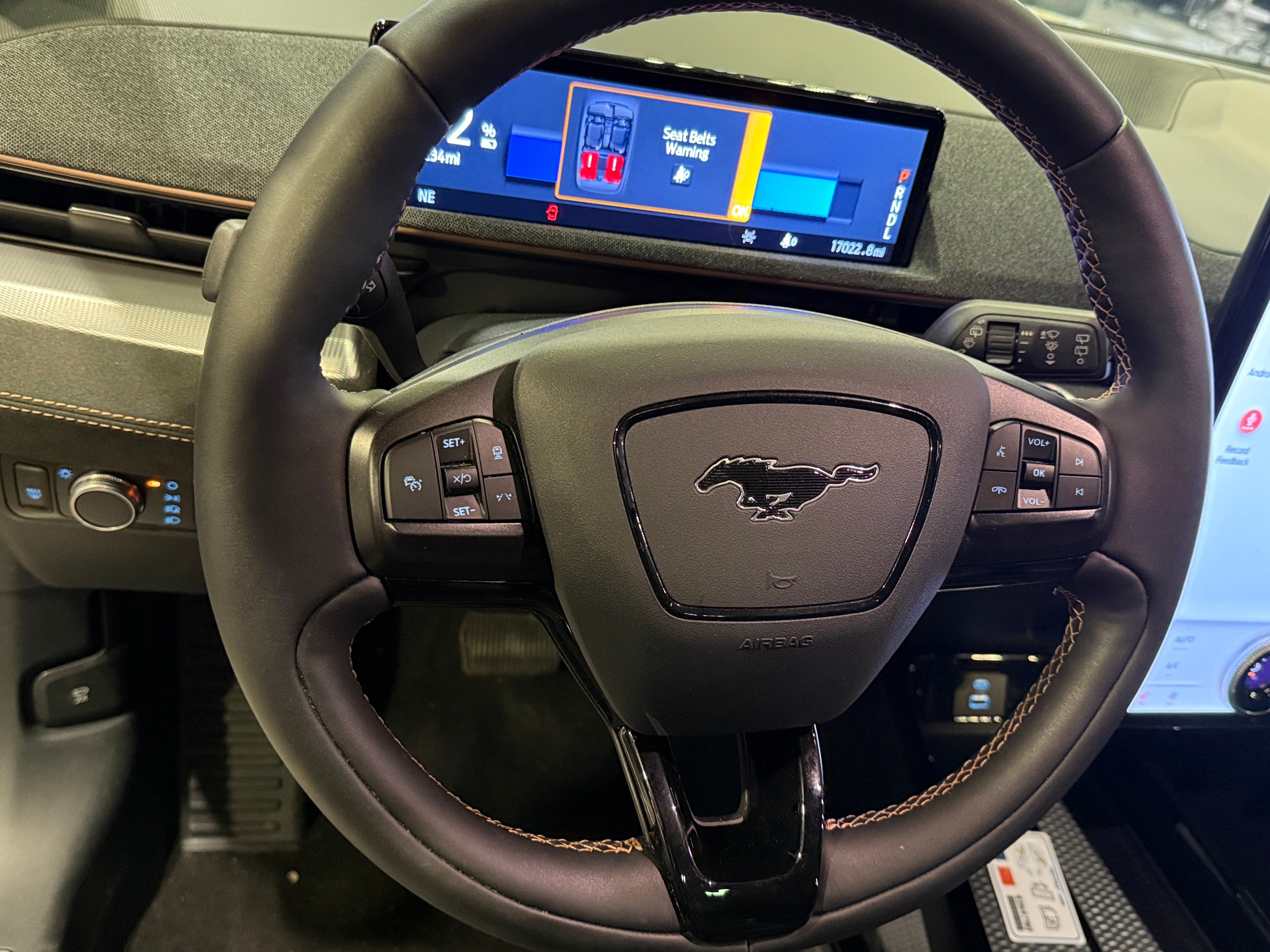 2021 Ford Mustang Mach-E GT 4