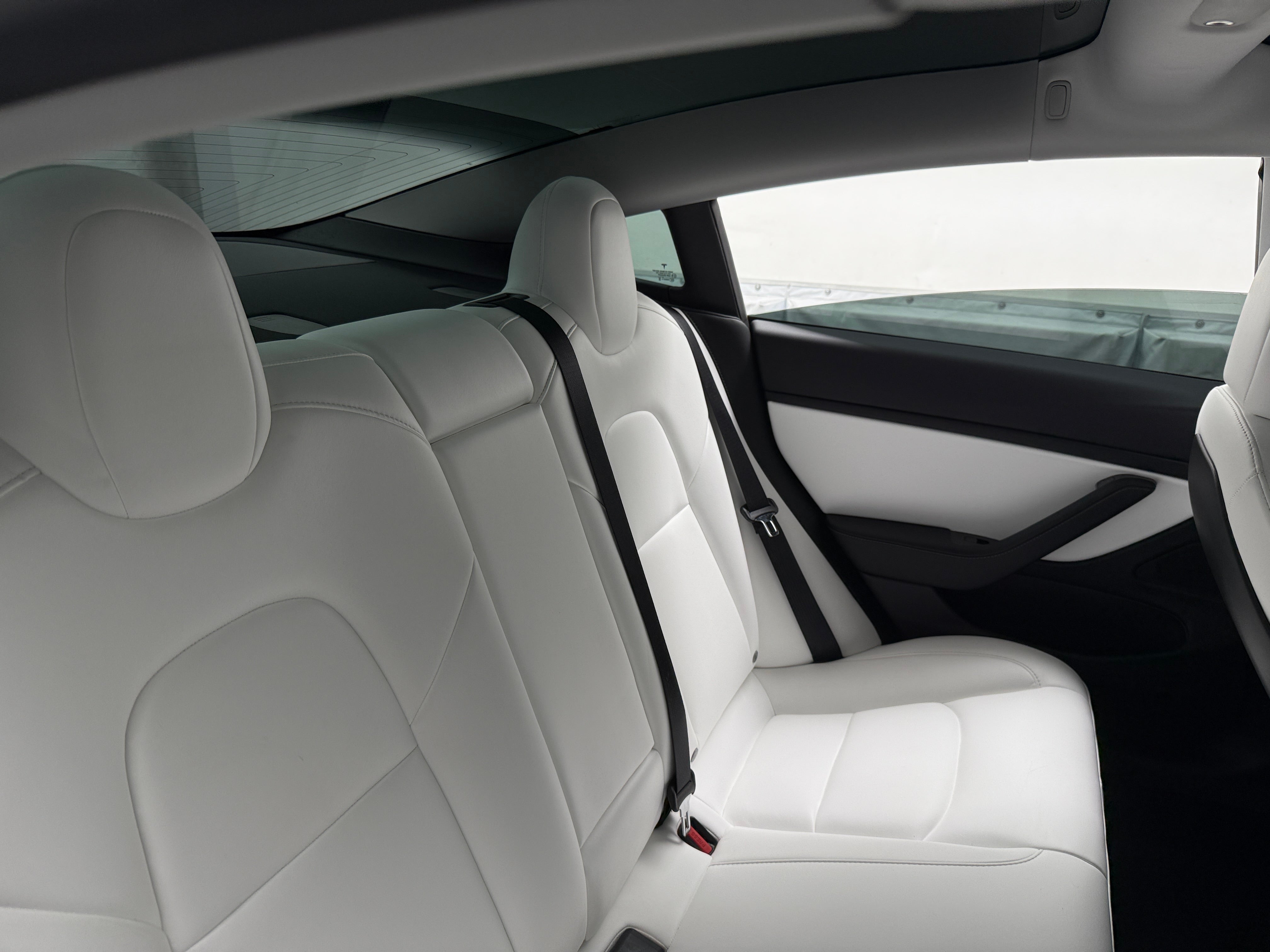 2019 Tesla Model 3 Standard Range 5