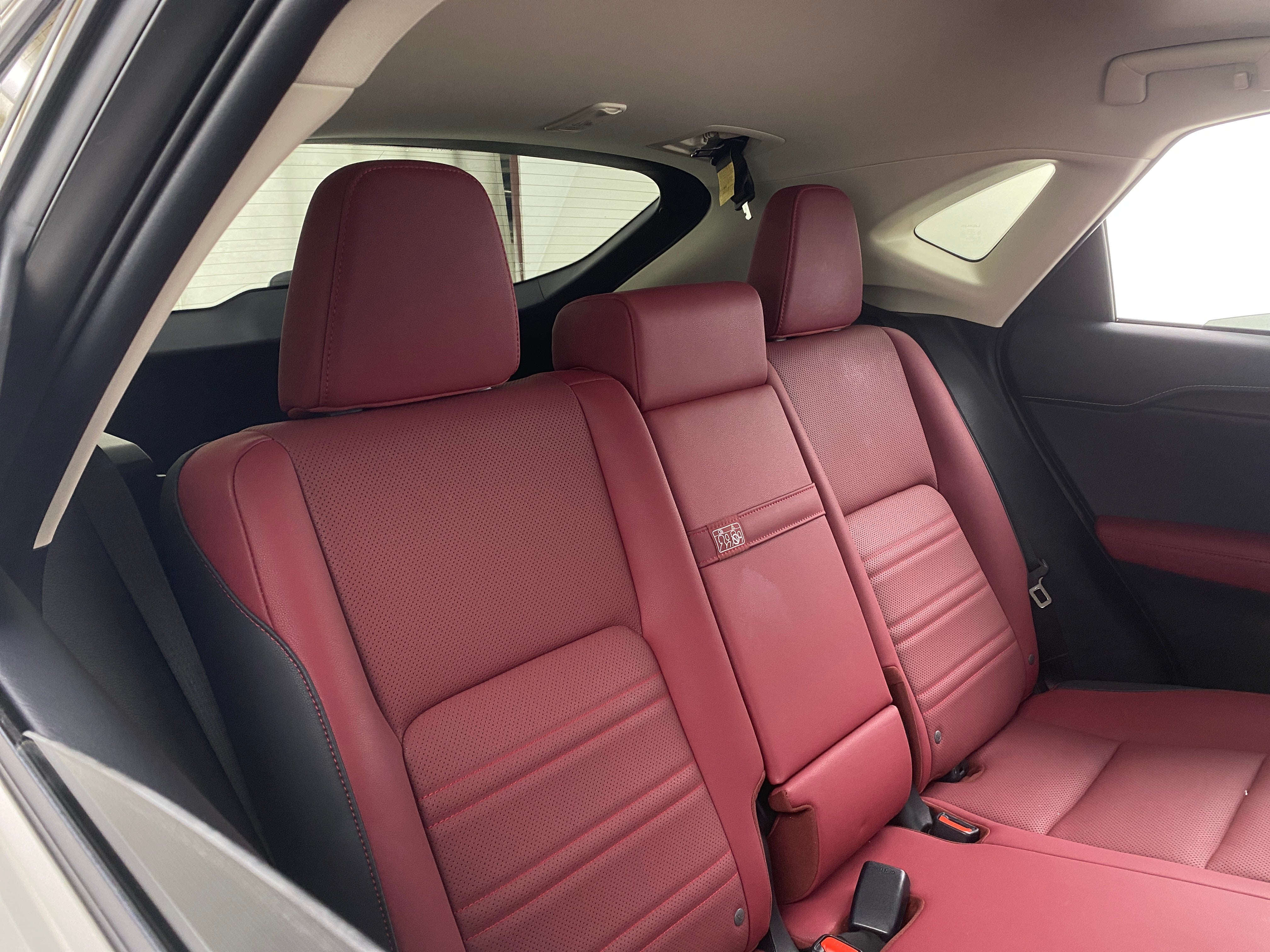 2021 Lexus NX Hybrid 300h 5