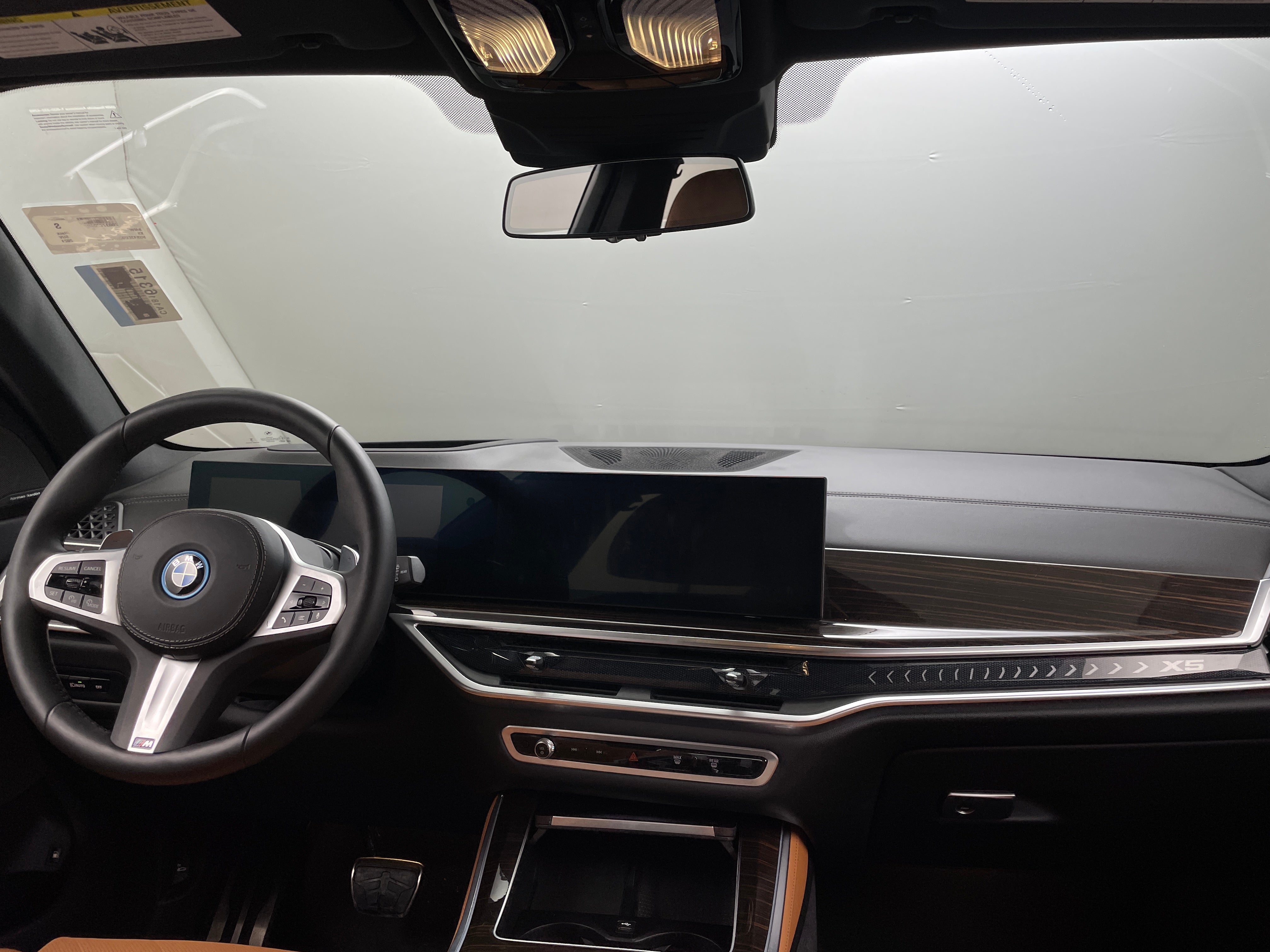 Thumbnail: 2024 BMW X5 - 3
