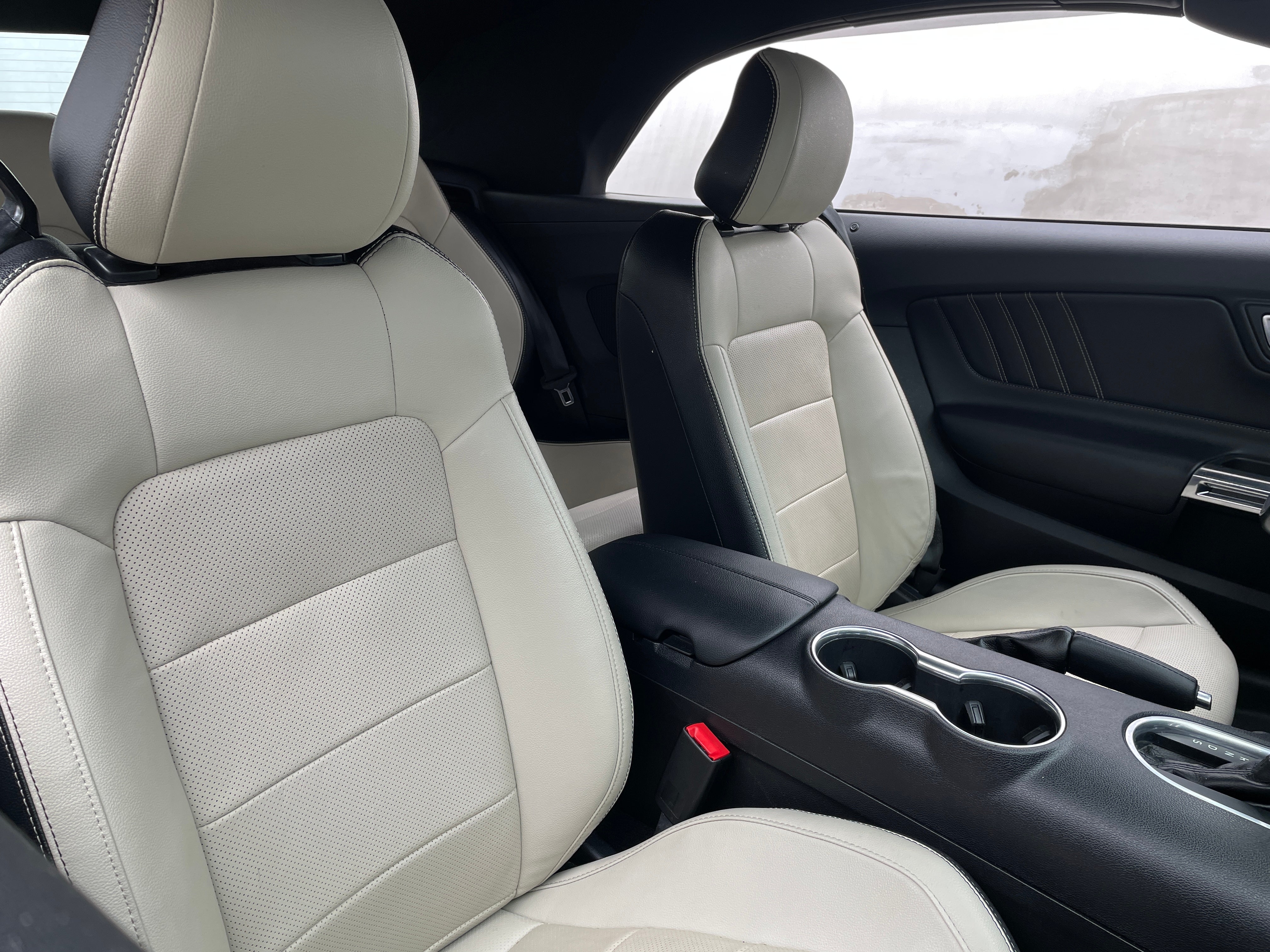 2019 Ford Mustang  2